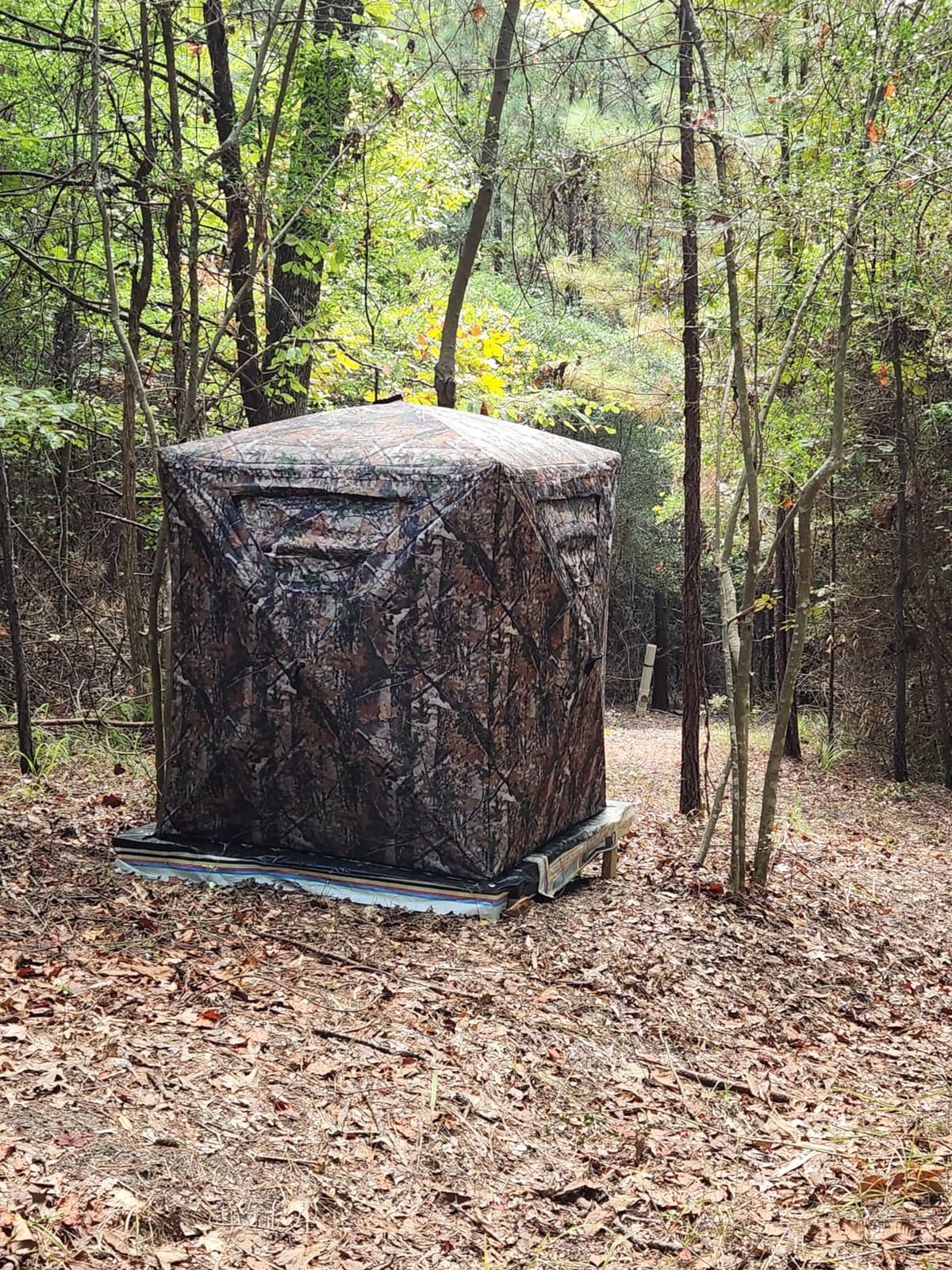 Lenotos Hunting Blind, 2 Person Pop Up Blinds 360 Degree See Through, Portable Durable Hunting Ground Blinds for Deer & Turkey Hunting customer photo 1