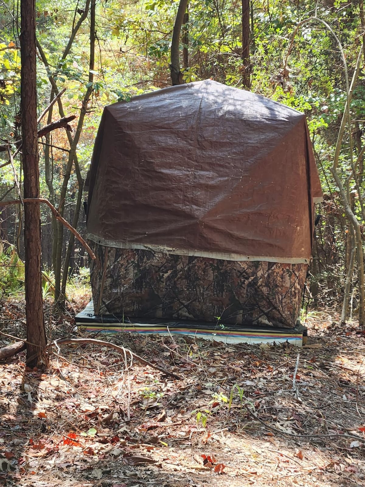 Lenotos Hunting Blind, 2 Person Pop Up Blinds 360 Degree See Through, Portable Durable Hunting Ground Blinds for Deer & Turkey Hunting customer photo 2