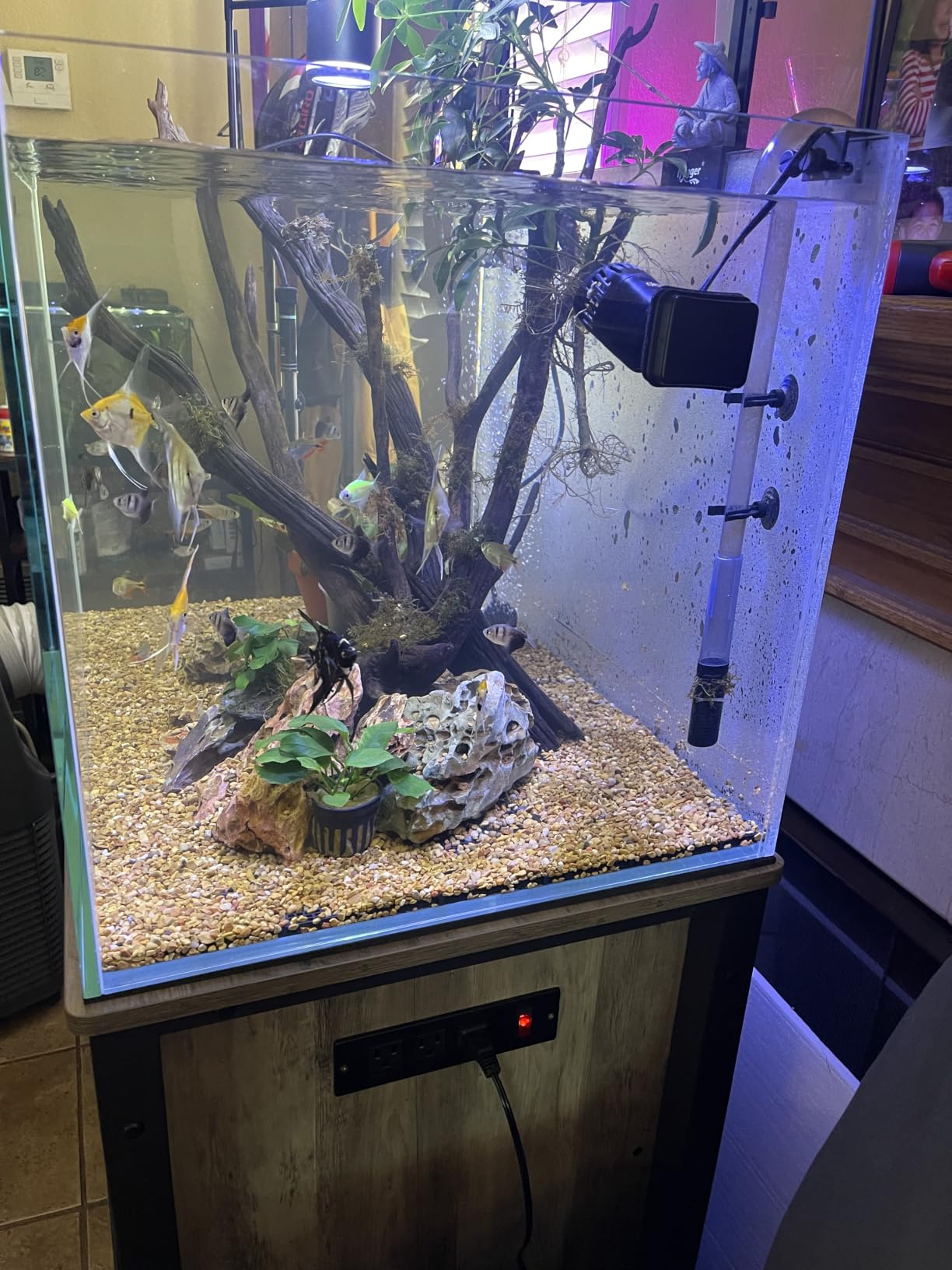Landen Aquarium Cube 15.6 Gallon Ultra Clear Glass Rimless Fish Tank 40C customer photo 2