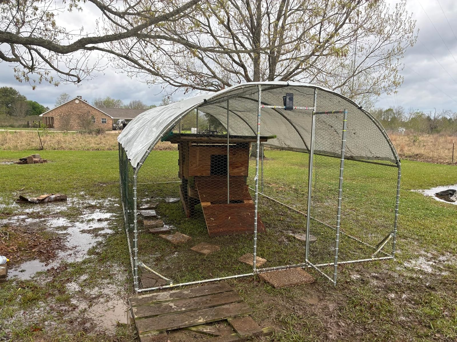 CHIKENCOOP 19.5x9.8x6.5ft Metal Chicken Coop, 3-Room Run, Hardware Cloth customer photo 1