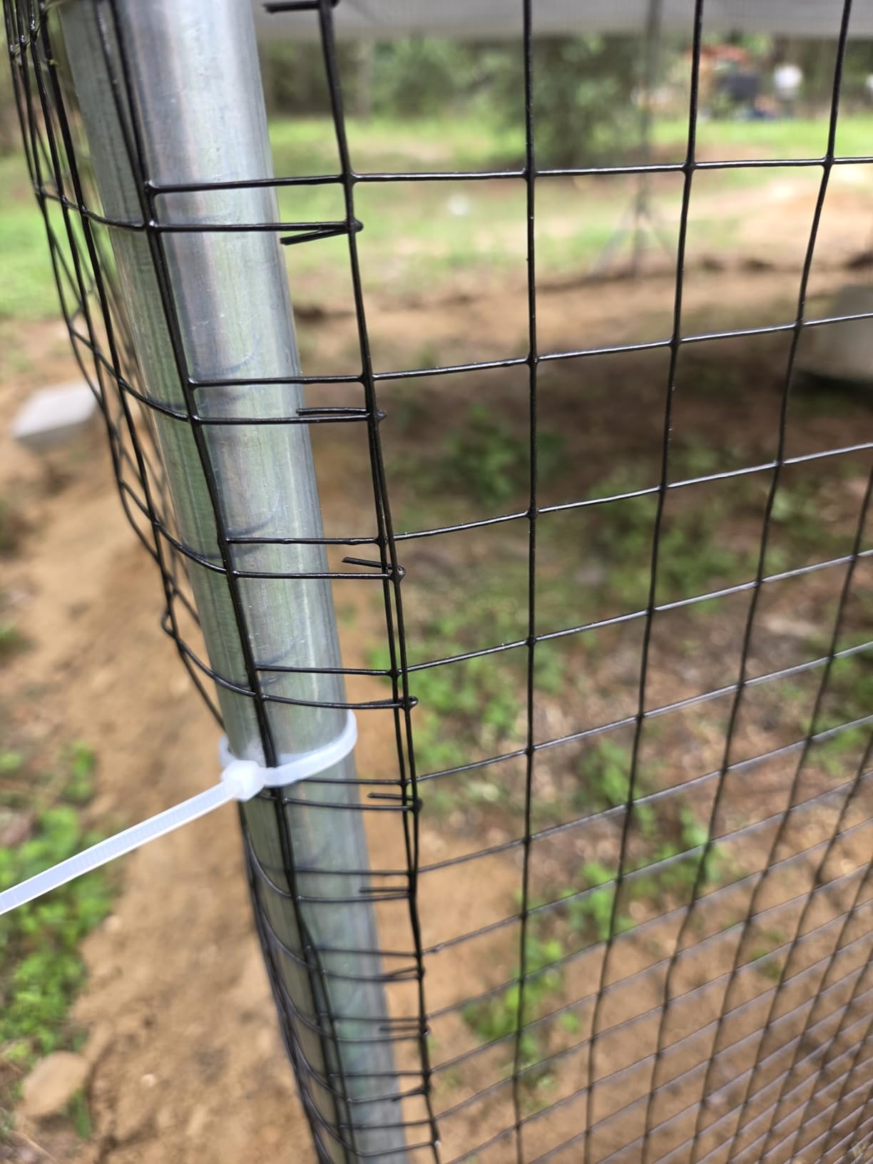 CHIKENCOOP 19.5x9.8x6.5ft Metal Chicken Coop, 3-Room Run, Hardware Cloth customer photo 2