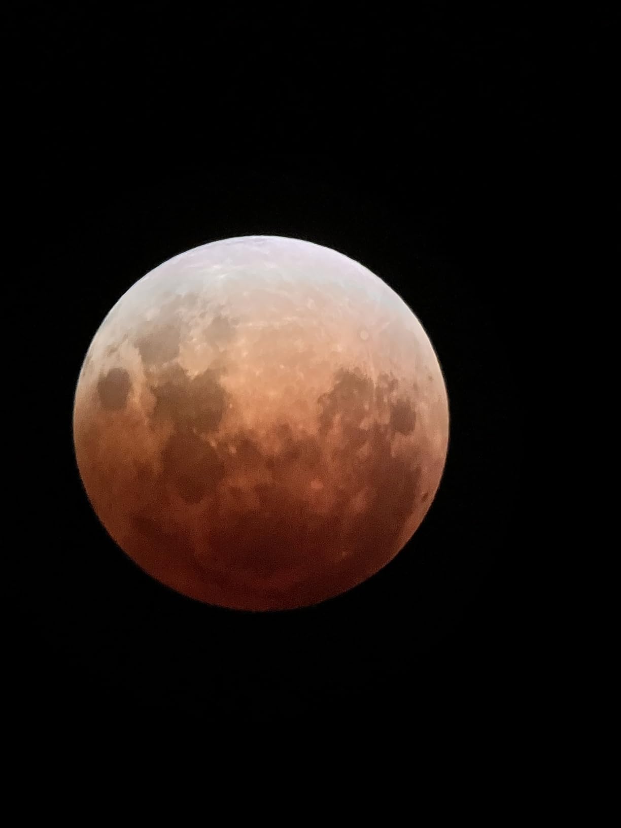 Celestron StarSense Explorer 130mm Tabletop Telescope with Smartphone App customer photo 2