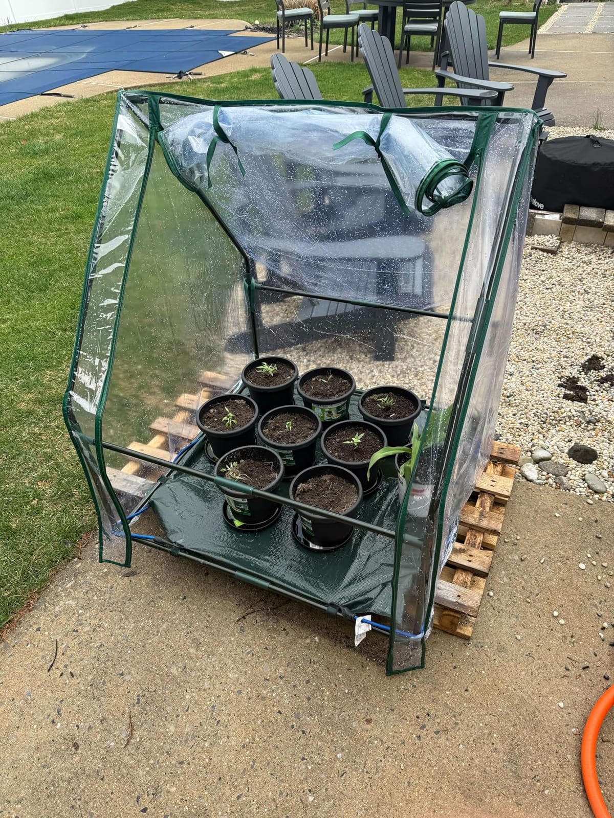 Mini Greenhouse for Indoor Outdoor: Ohuhu Tabletop Portable Green House with Waterproof Pad for Small Plants Nursery Germination, 36