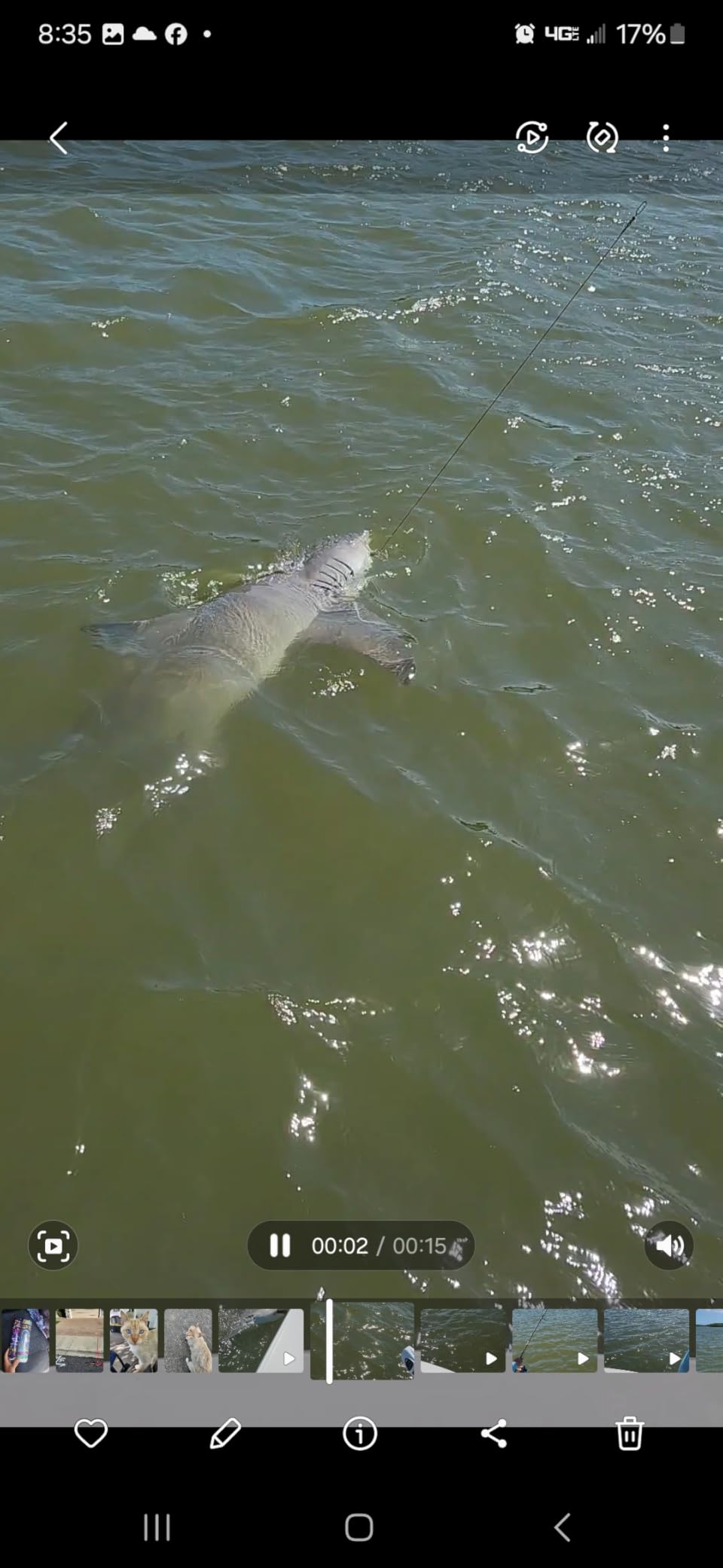 KastKing Kong Spinning & Casting Fishing Rods, Saltwater and Freshwater customer photo 2