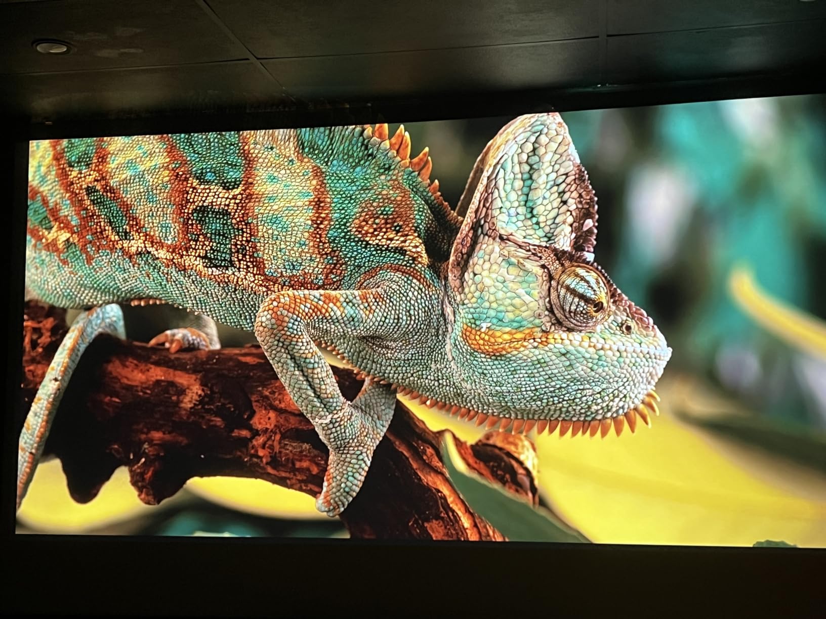 ViewSonic LX700-4K 3500 Lumens 4K Laser Projector, 240Hz and 4.2ms for Smooth Home Entertainment, 1.36x Optical Zoom, H/V Keystone, and 360-Degree Projection for Flexible Setup, and Dual HDMI Inputs customer photo 2