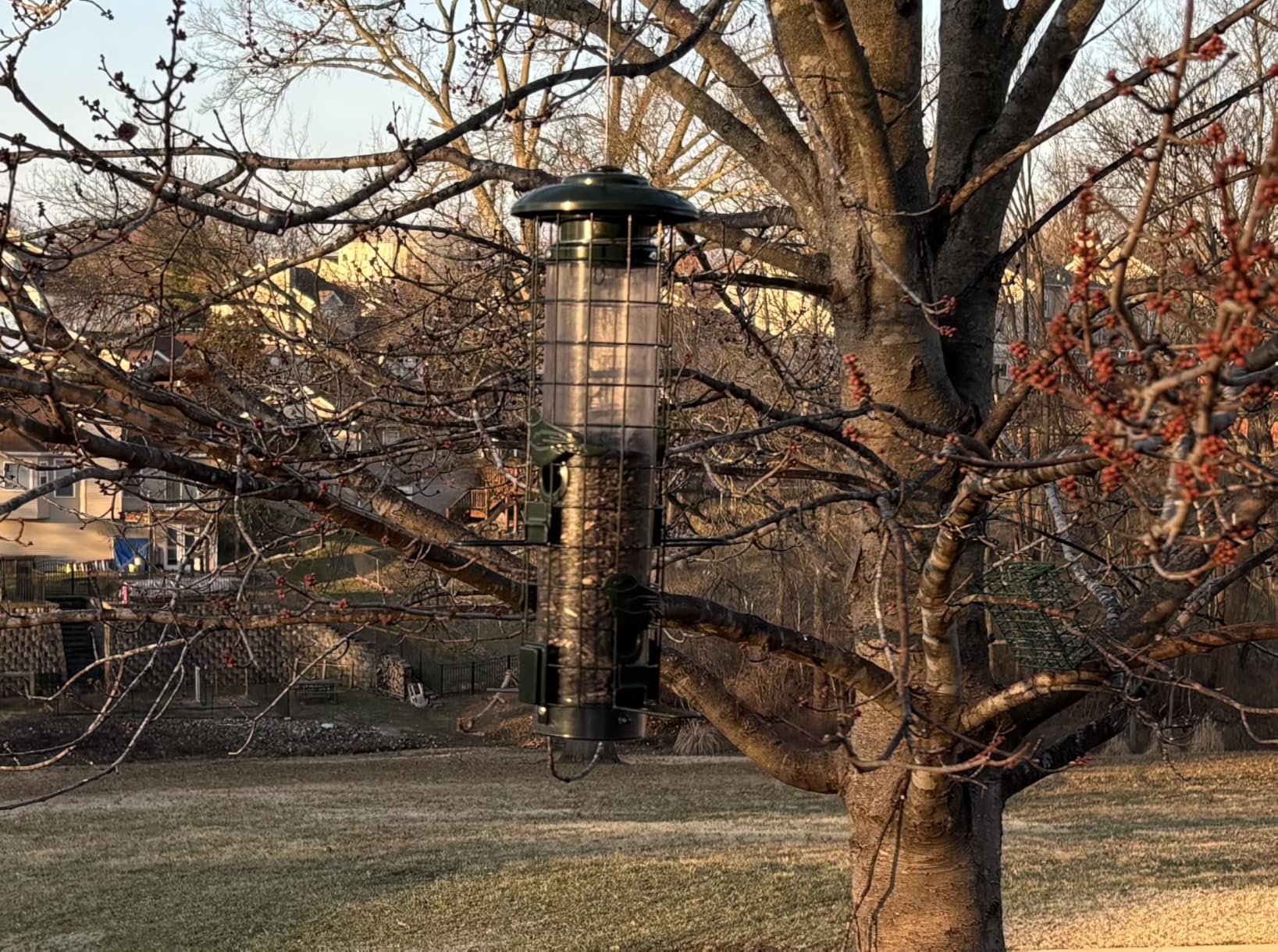 Squirrel Proof Bird Feeder,Metal Mesh Bird Feeders for Outdoors Hanging,Gravity Protection Squirrel Proof Wild Bird Feeders with Finch Cardinal Chickadee,3LB Large Capacity,Green customer photo 2