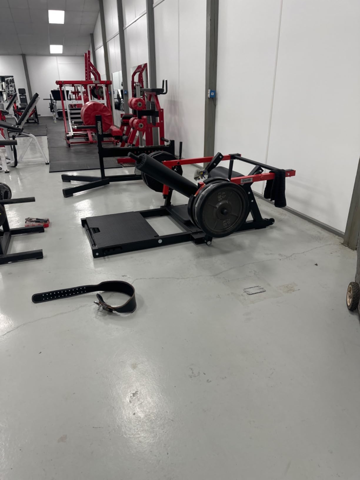 GMWD Hip Thrust Machine, 800LBS Plate-Loaded Glute Bridge Machine with Weight Holder, Heavy Duty Butt Exercise Equipment for Glute Muscles Building and Butt Shaping, Adjustable Footboard customer photo 1