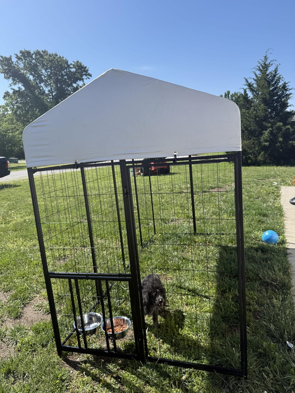 ROOMTEC Heavy Duty Outdoor Dog Kennel with Rotating Bowls, 8 x 4 x 5.6-ft customer photo 2