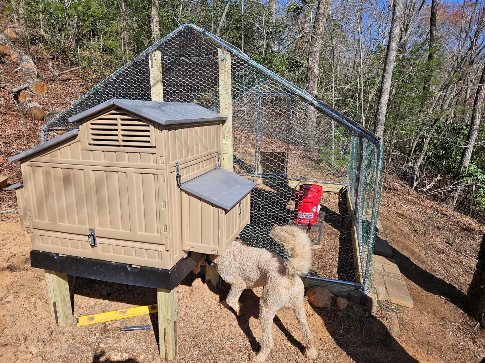NUGRIART Large Metal Chicken Coop Walk-in Poultry Cage with Water-Resident and Anti-UV Cover Duck Rabbit Cat House Outdoor Chicken Run Pen with Spire Shaped Cage customer photo 1