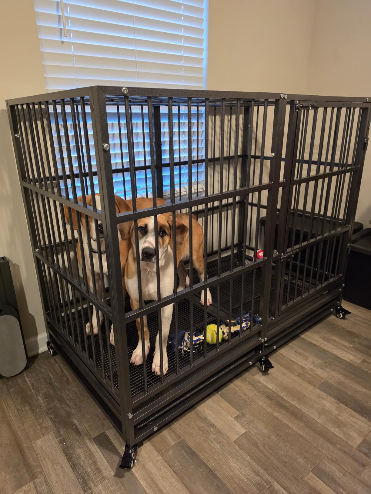 BOLDBONE 54 inch Heavy Duty Indestructible and Escape-Proof Dog Crate Cage Kennel for Large Dogs, High Anxiety Dog Crate with Removable Wire Trays and Wheels, Extra Large XL XXL, Black customer photo 1