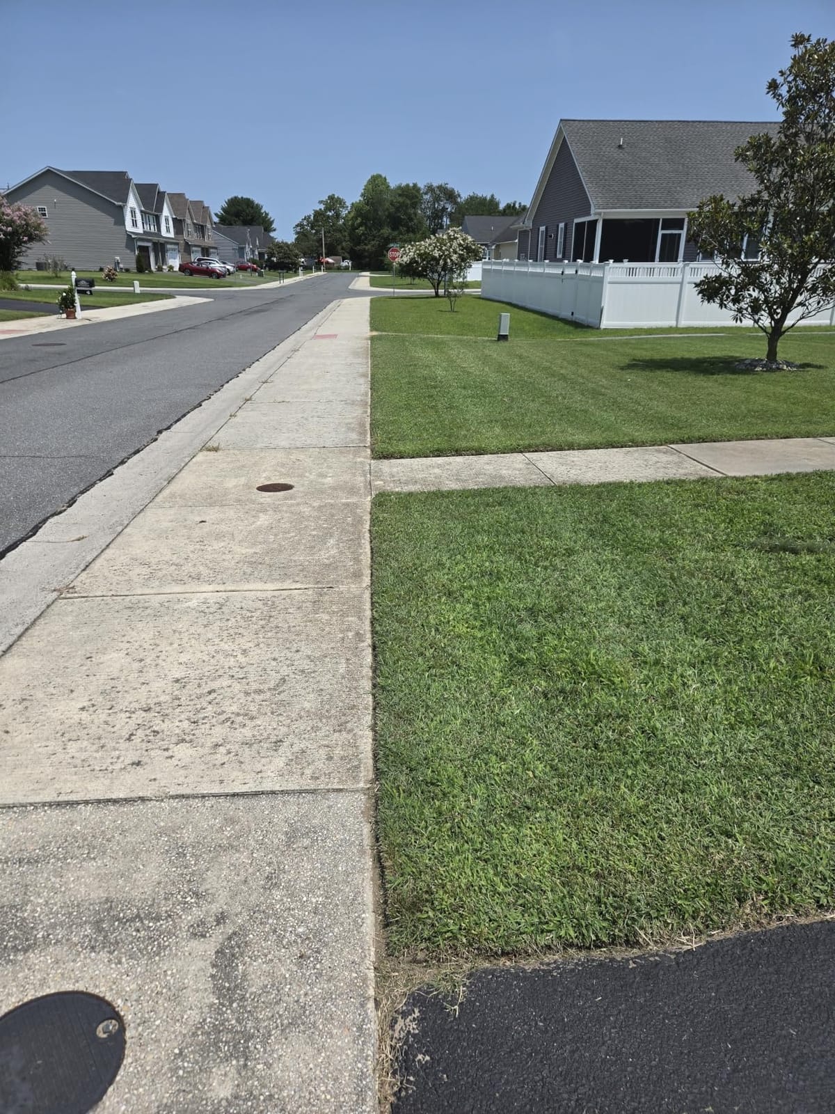 EGO MHC1603 Multi-Head Combo Kit 16-Inch 56-Volt Carbon Fiber String Trimmer with POWERLOAD™ & 8-Inch Carbon Fiber Edger Attachment & 56-Volt Power Head, 4.0Ah Battery and 320W Charger Included customer photo 1