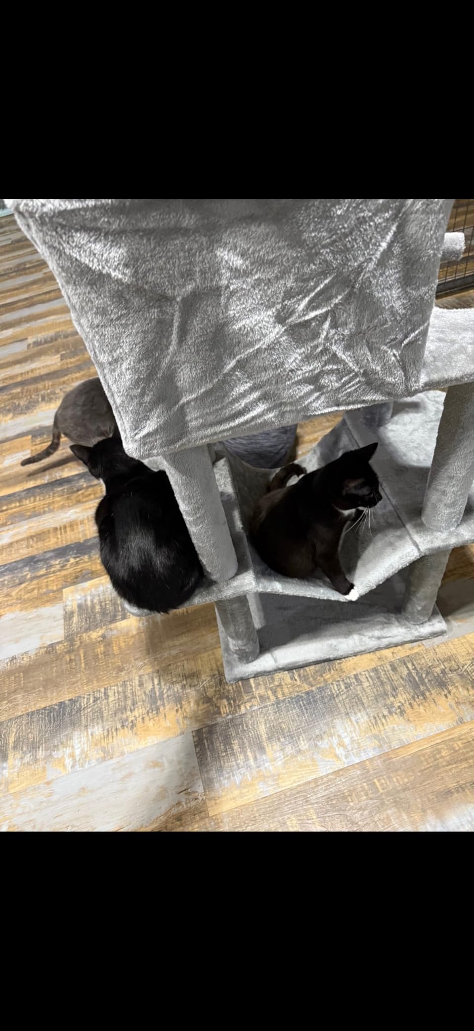Globlazer Big XXL Cat Tower for Indoor Multiple Cats, F80, Dark Grey customer photo 1