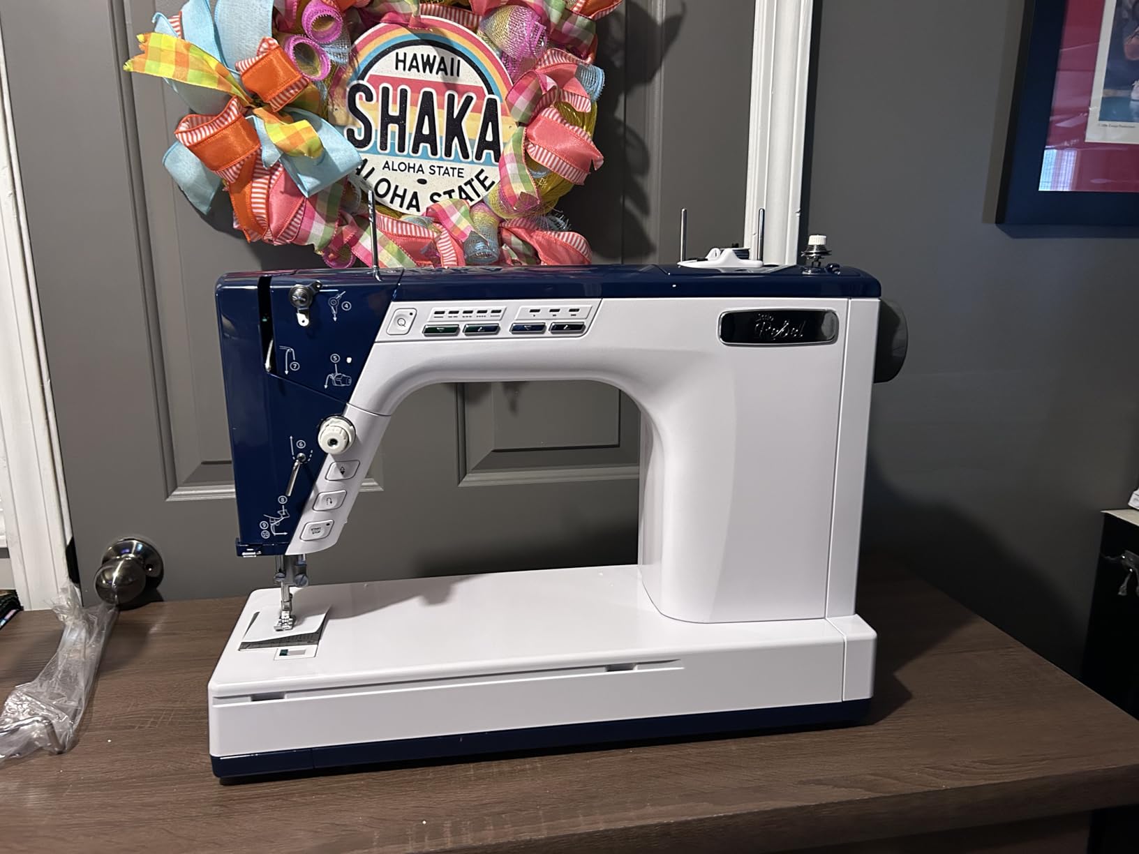 Little Rebel Sewing and Quilting Machine with Built-in Stitch Regulation (Little Rebel) customer photo 1