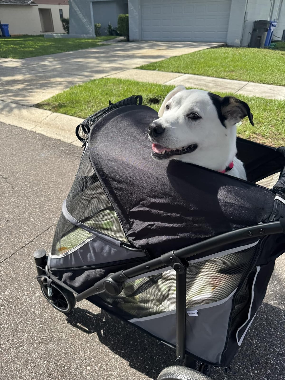 Dog Stroller for Medium/Large Dogs One-Click Folding, Extra Large Pet Stroller for 2 Dogs with Storage Pocket & Shock Absorption, Up to 130 lbs, Grey customer photo 2