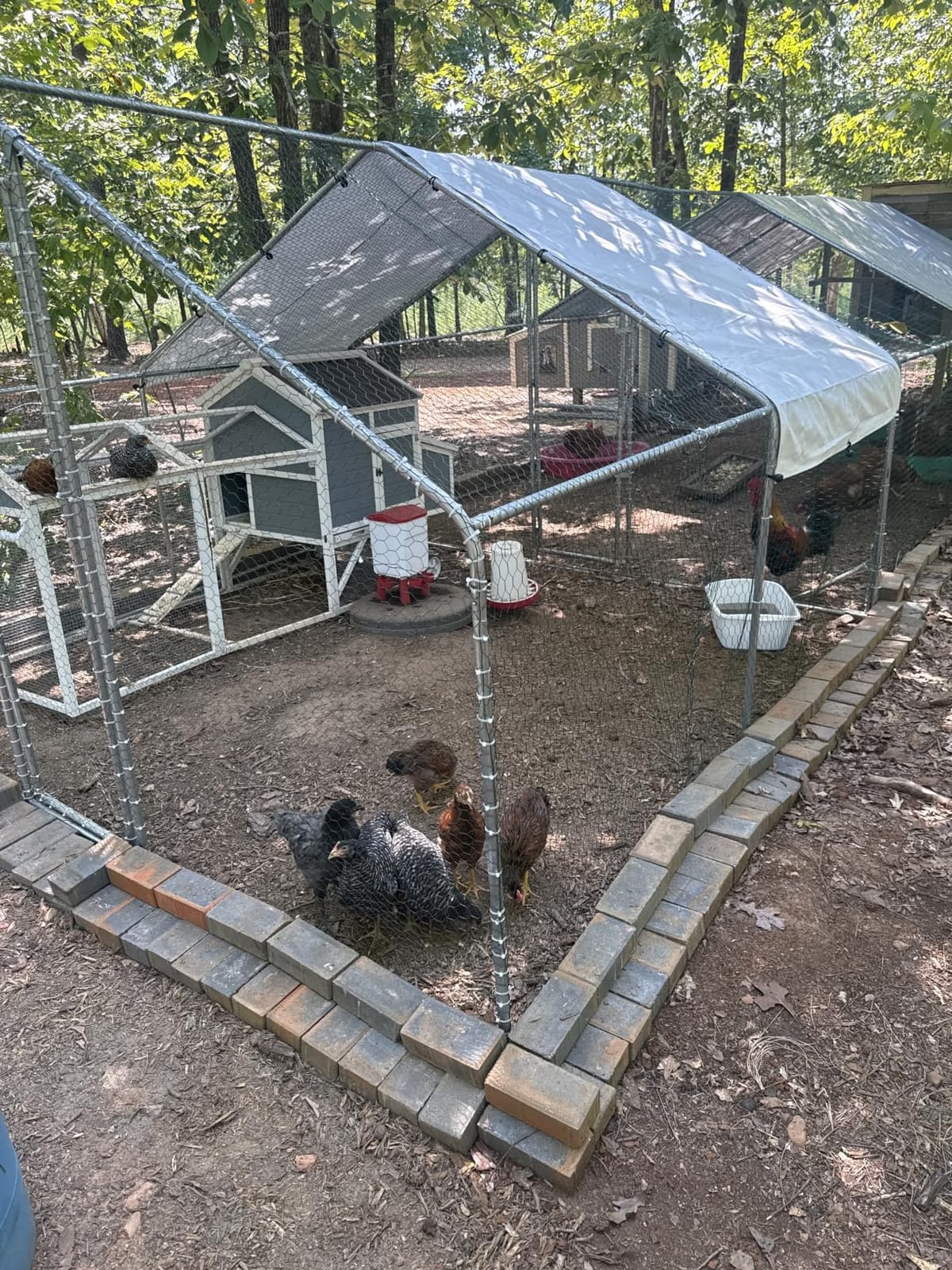 Outvita Chicken Coop, 19.5×10 FT Large Metal Chicken House, Poultry Habitat Cage with Waterproof Cover, Walk-in Chicken Run Pen for Small Animals, Yard, Farm, Patio customer photo 2