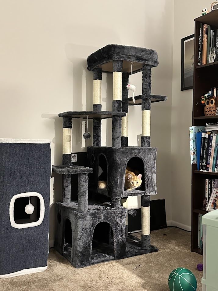 Globlazer Heavy Duty Cat Trees for Big Cats Maine Coon, F61, Dark Grey customer photo 2