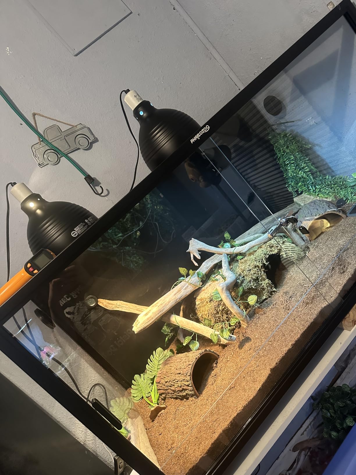 Phailozoo 50 Gallon Reptile Enclosure, Colorful Aluminum Frame Reptile Tank customer photo 1