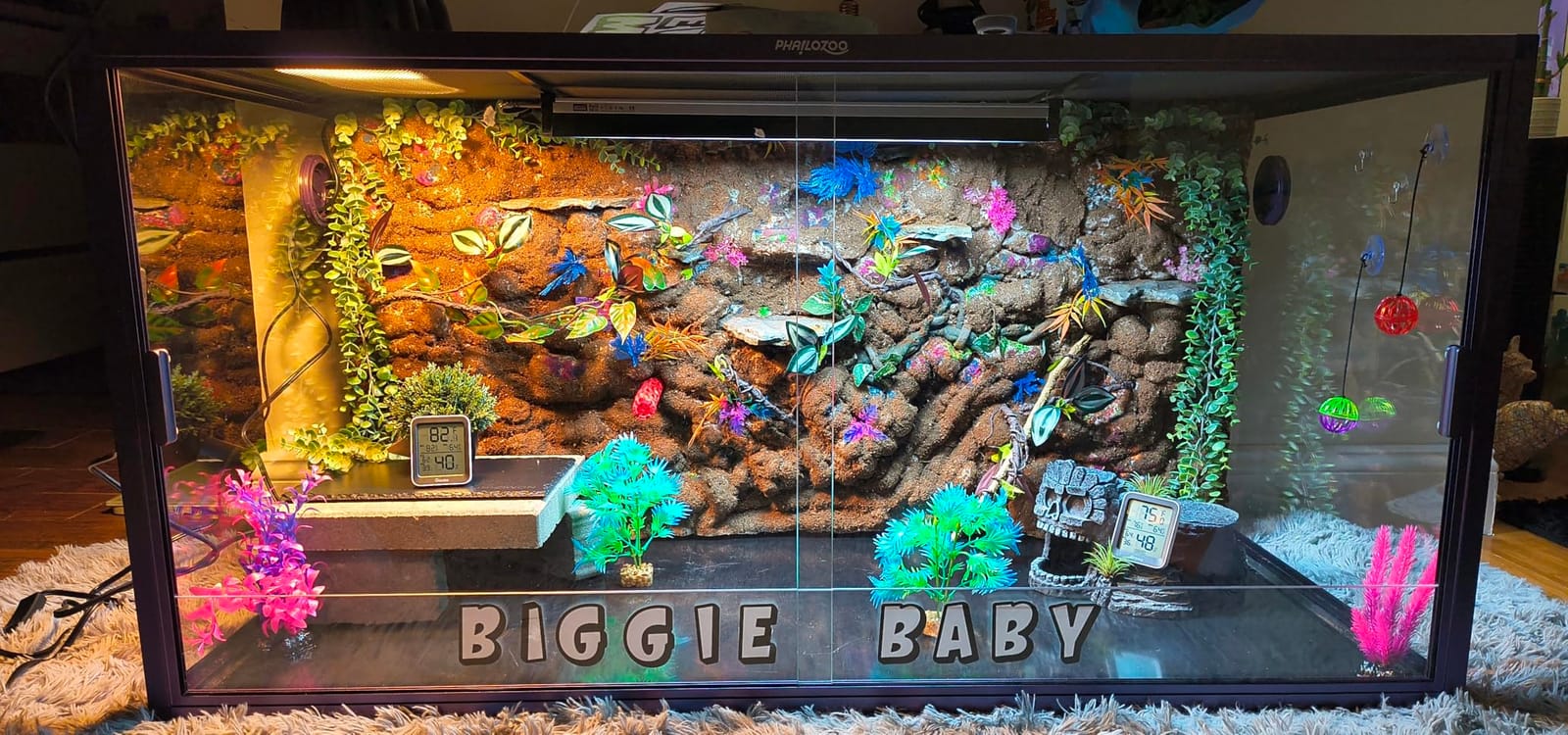 Phailozoo 50 Gallon Reptile Enclosure, Colorful Aluminum Frame Reptile Tank customer photo 2
