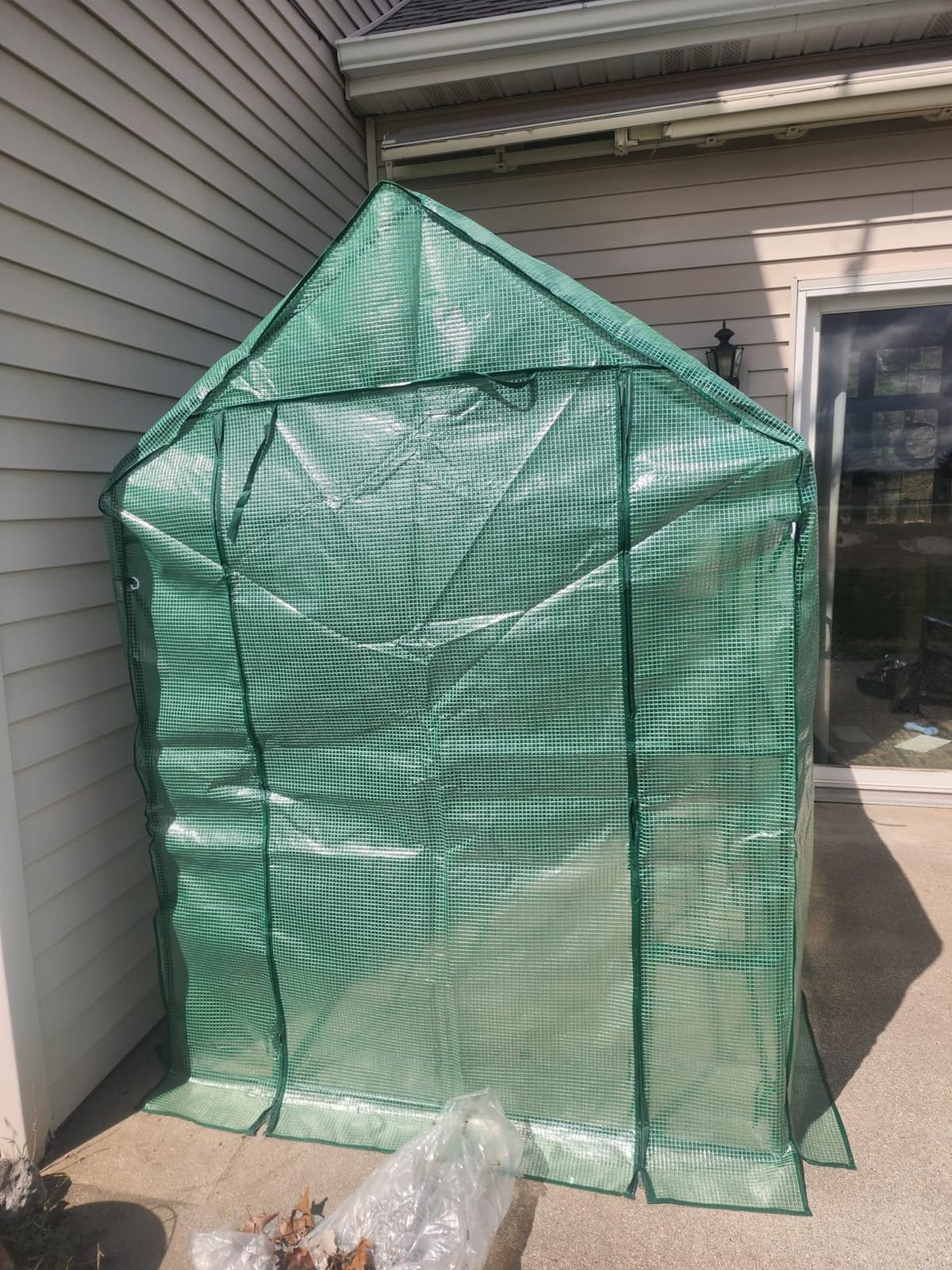SPECILITE 56×56×78Inch Walk-in Greenhouse for Outdoors Garden Plant, Green customer photo 1