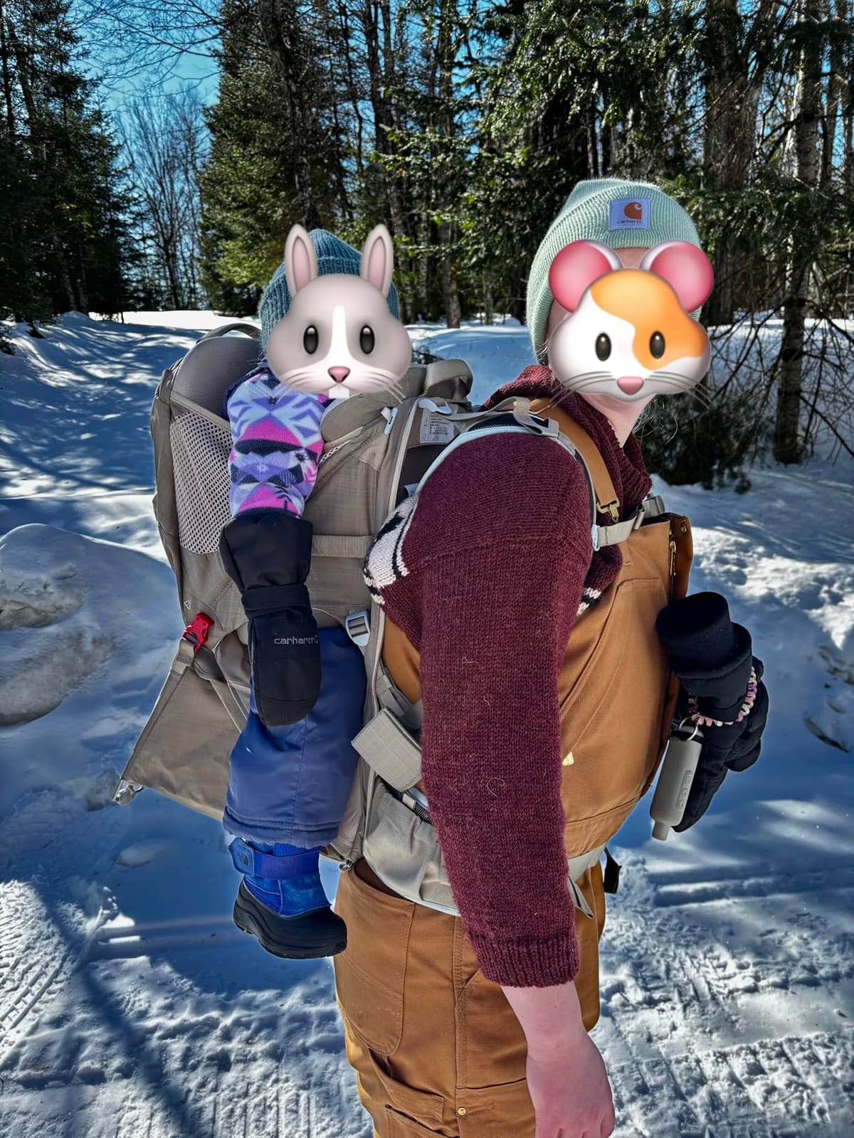 Osprey Poco LT Lightweight Child Carrier Backpack - Compact, Travel-Ready Kid Carrier with Sunshade and Adjustable Fit - Lightweight, Comfortable Hiking Carrier for Toddlers customer photo 1