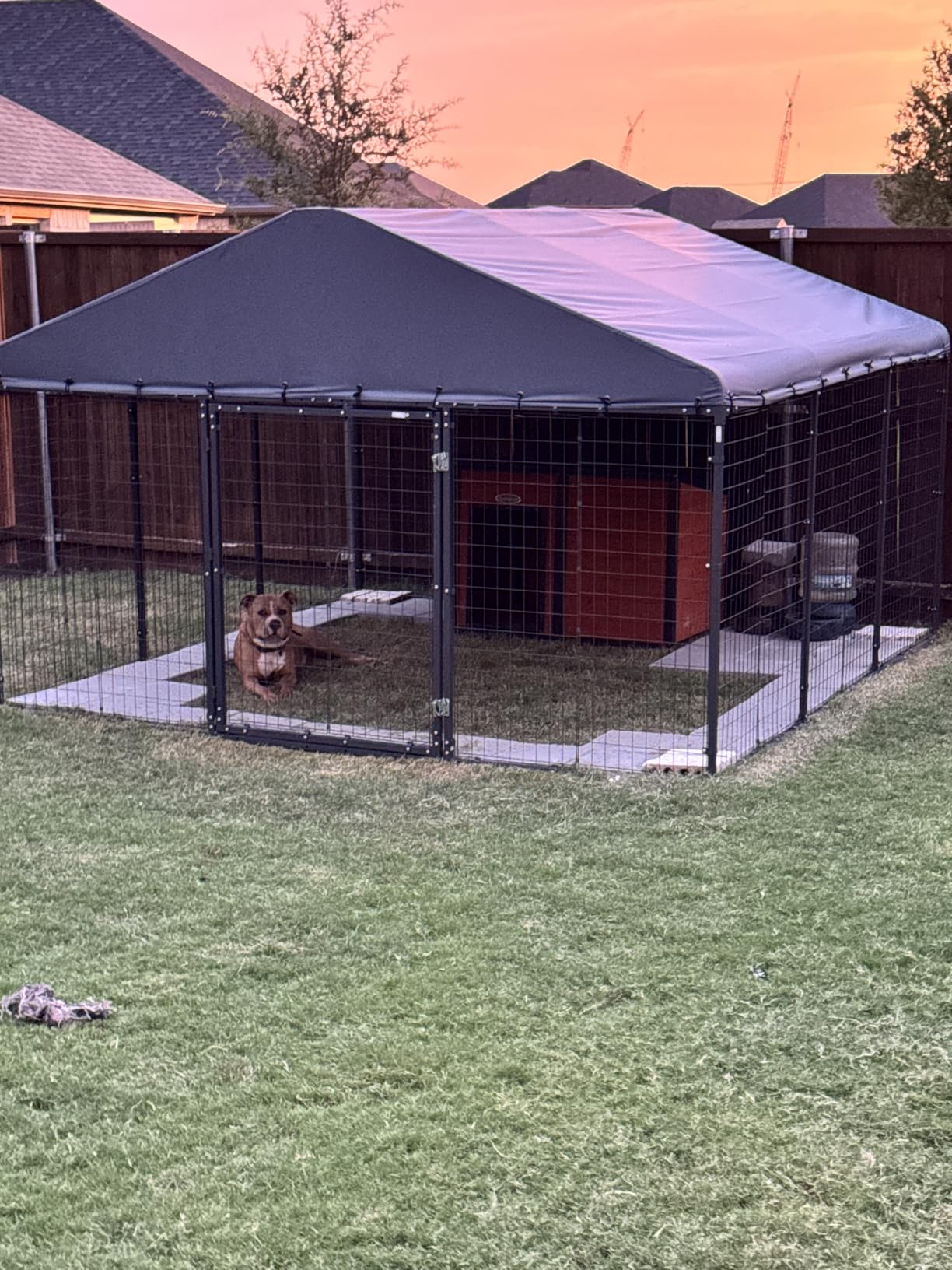 Gotland Dog Kennel Outdoor 10 x10 x6 FT, Dog Cage Outdoor for Medium/Large Dogs with Waterproof Roof Double Secure Locks Ground Spikes, All Weather Heavy Duty Dog Enclosure for Backyard Farm Ranch customer photo 2