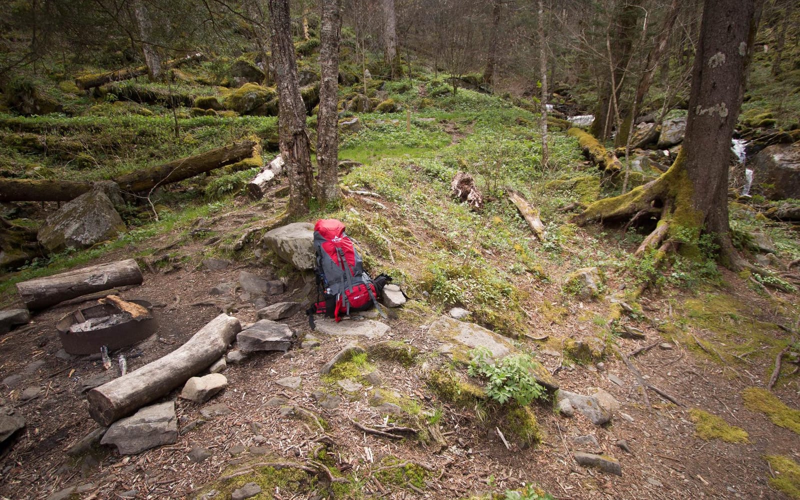 Teton 65L Signal backpack, durable and ready for hiking, camping or backpacking. Perfect lightweight travel bag with more room than you think, Onyx customer photo 1