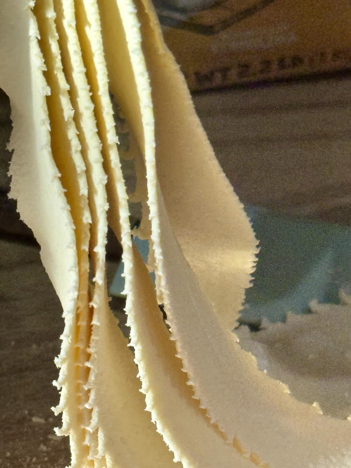 CGOLDENWALL Automatic Pasta Maker Machine Electric, Digital Control with 12 Shape Discs for Homemade Noodles, Spaghetti, Fettucine and Penne, Up to 650g Flour, White, 260w (110V, US Plug) customer photo 1
