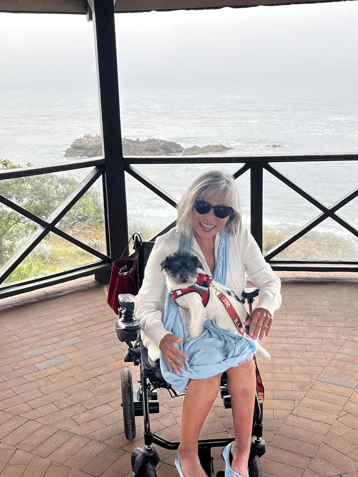 SLB30 Electric Wheelchairs for Adults, Lightweight Foldable Motorized Wheelchair with Removable Battery Liftable Armrest Airline Approved(30 Lbs, Grey) customer photo 1
