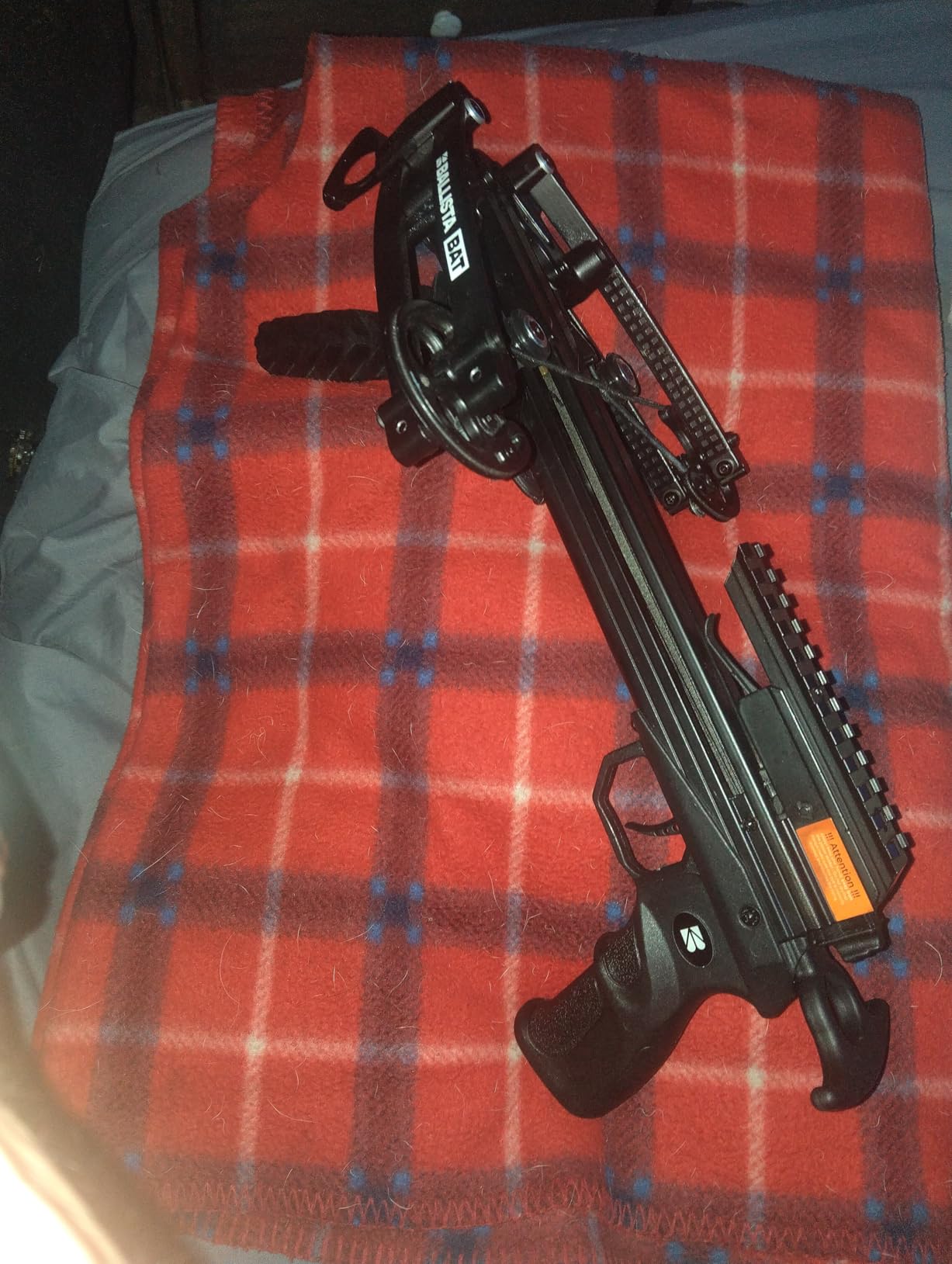 BALLISTA BAT Compound Crossbow for Hunting, Bowfishing and Target, 300 FPS customer photo 1