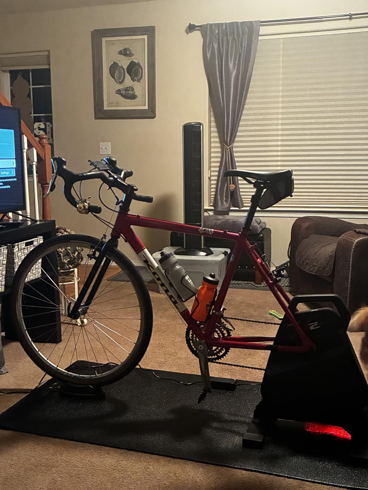 ThinkRider X2Max Smart Bike Trainer,2000w,Simulates 18% Slope,ANT + & BLE customer photo 1