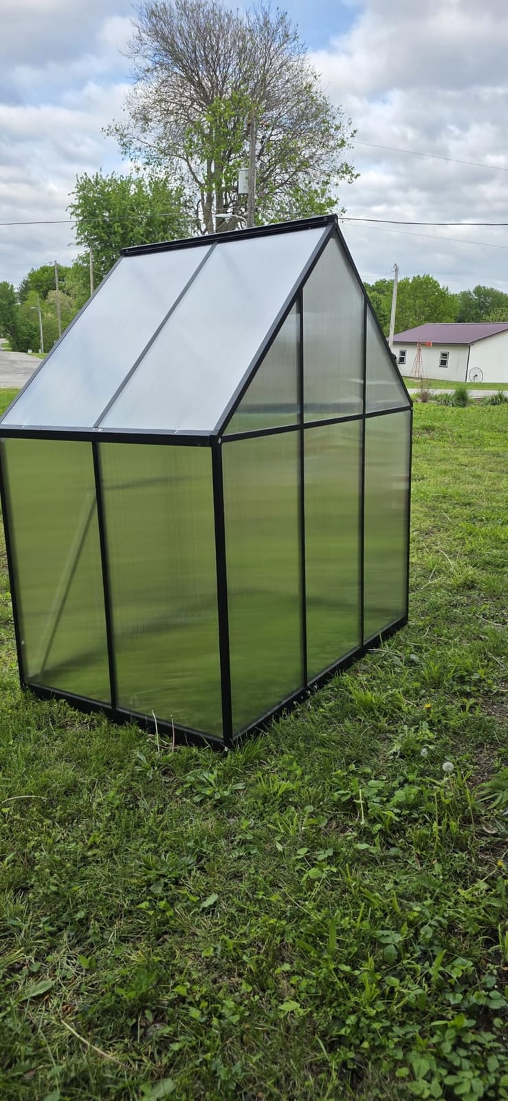 5.5X4FT Greenhouse with Thermometers, Small Greenhouse for Outdoors customer photo 2