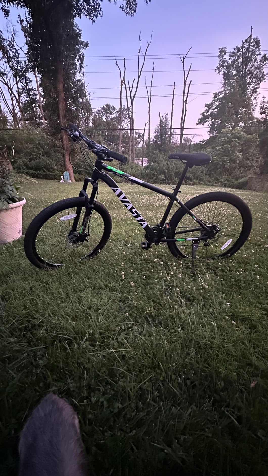 AV300 26 27.5 Inch Mountain Bike MTB for Adult Man Women Male | Lightweight Aluminum Alloy Frame, Dual Disc Brakes, Front Suspension, 21-Speed Gear Shifter, Half Hidden Brake Cables customer photo 2