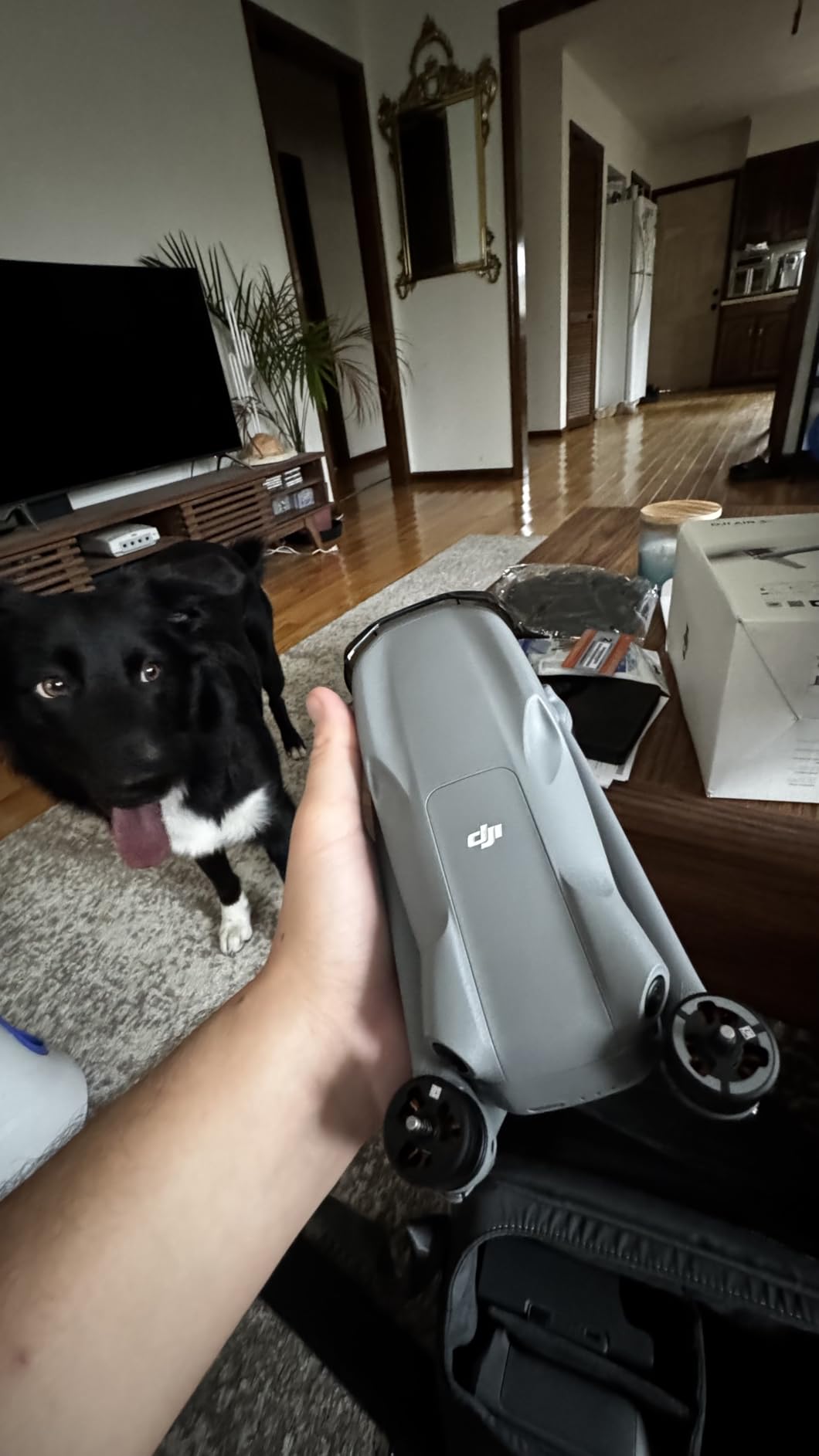 DJI Air 3S Drone with RC 2 Fly More Combo (with Screen) 4K HDR, 45-Min Max Flight Time Bundle with 128GB Memory, Landing Pad, Backpack, CPS 2 Year Warranty customer photo 2