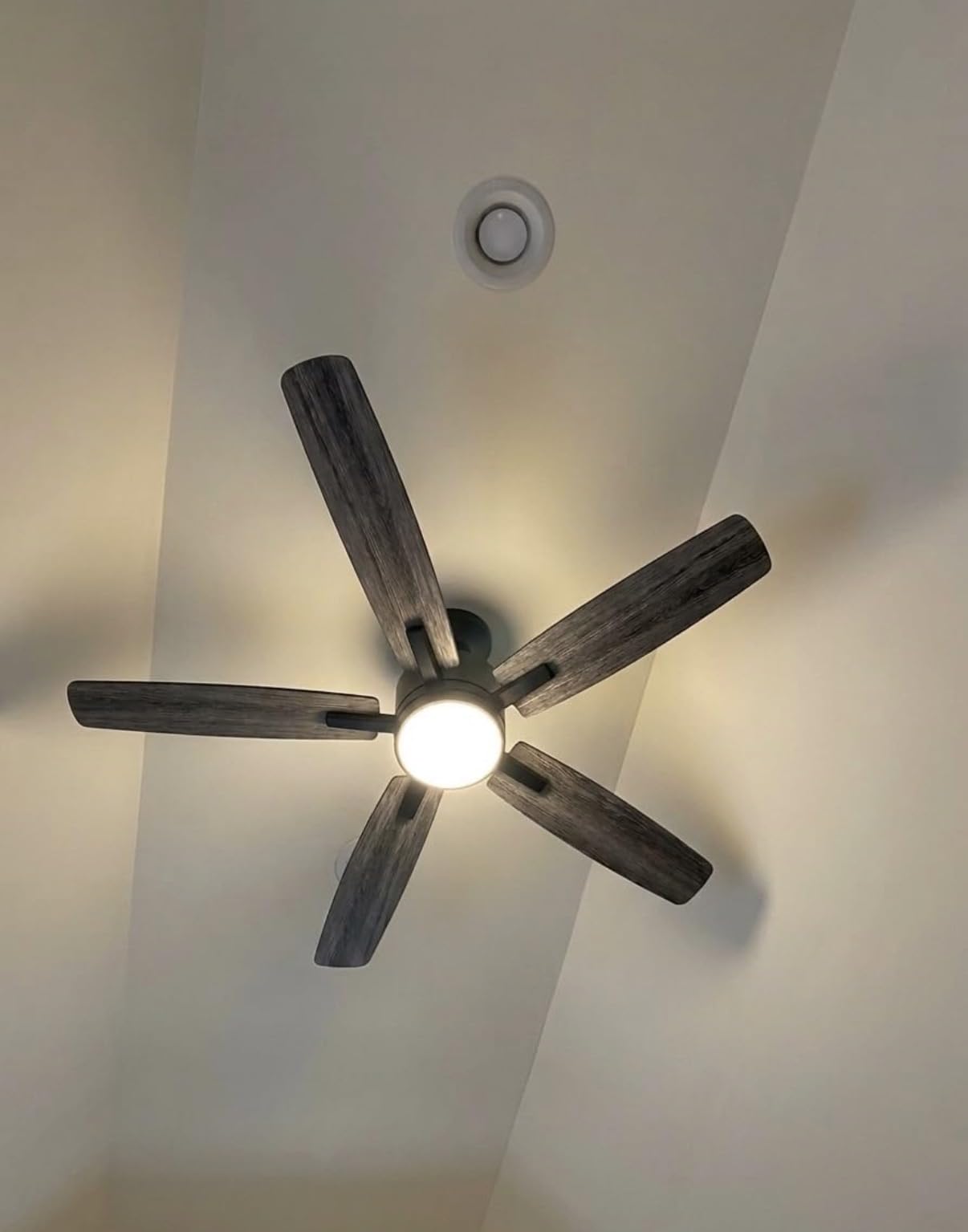 Ohniyou 52'' Low Profile Ceiling Fan with Lights, Remote/APP Control, Black customer photo 1