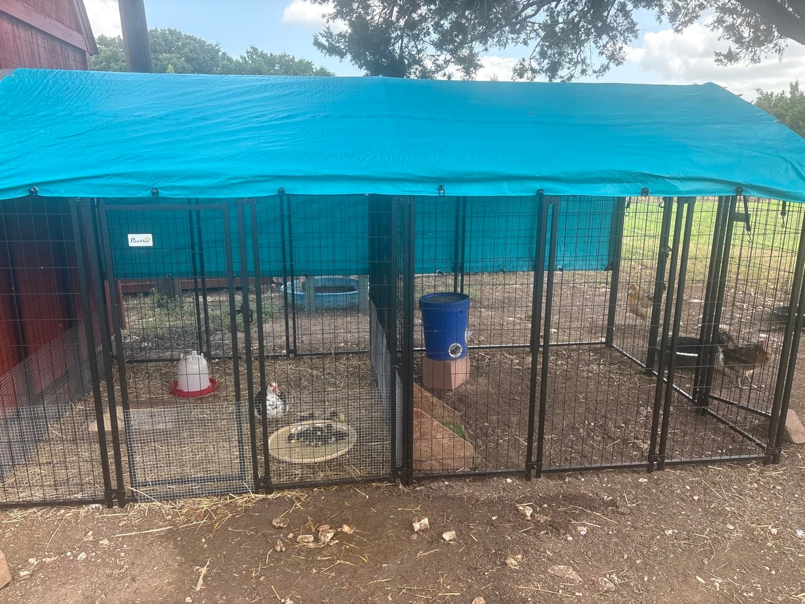 PawHut Outdoor Dog Kennel with Roof, 6' x 6' x 6' Heavy Duty Welded Wire Dog Playpen Enclosure with Escape-Proof Lock, UV-Resistant & Waterproof Cover, for Large Dogs, Chickens, Ducks, Silver | Heavy Duty Welded Wire Dog Playpen Enclosure, Escape-proof Lock, UV-Resistant & Waterproof Cover, for Chickens, Ducks customer photo 1