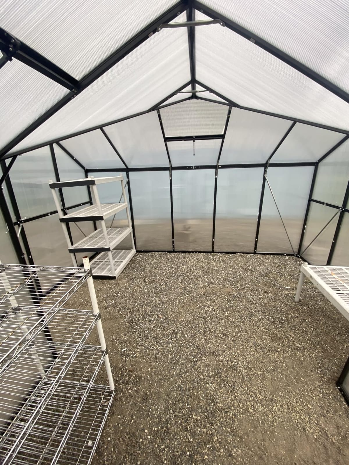 6x8 FT Greenhouse with Hygrometer, Windproof Warm Plant Green Houses customer photo 2