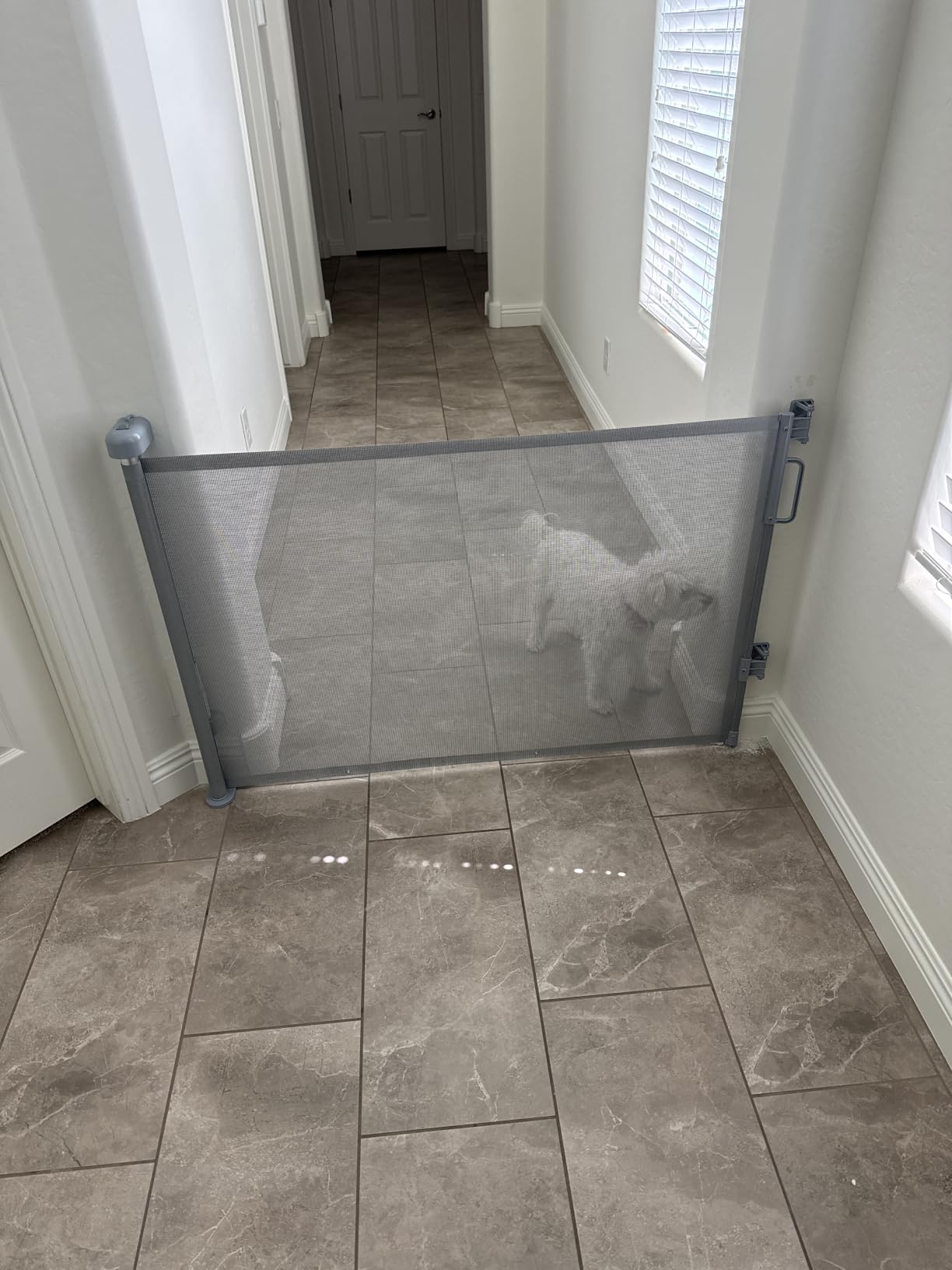 Retractable Baby Gate for Stairs & Doorways, Dog Gate Indoor Outdoor customer photo 2