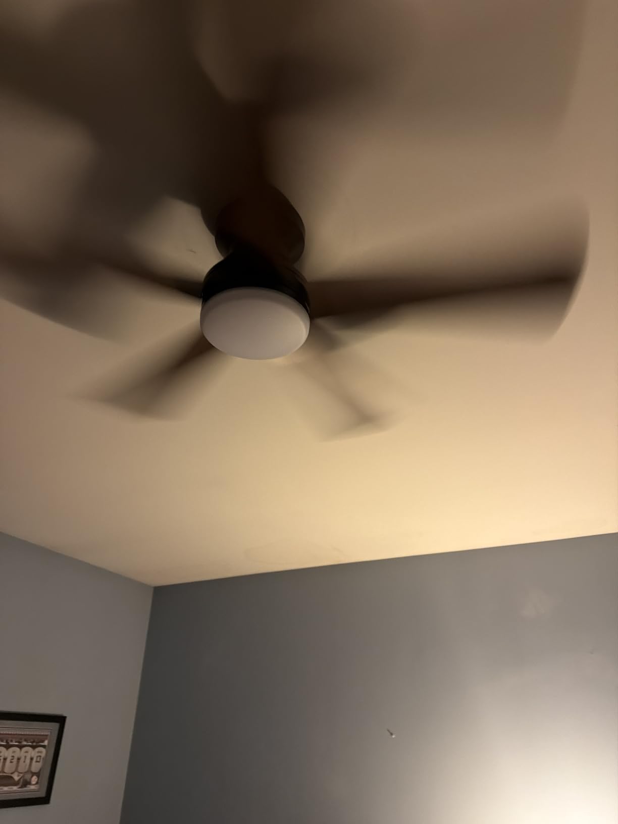 Depuley Modern Ceiling Fan with Light: 42-Inch Black Small Fans for Bedroom Indoor Outdoor - Dimmable Low Profile Ceiling Fans with Remote Control Flush Mount 5 Reversible Black Blades 6 Speeds Timer customer photo 2