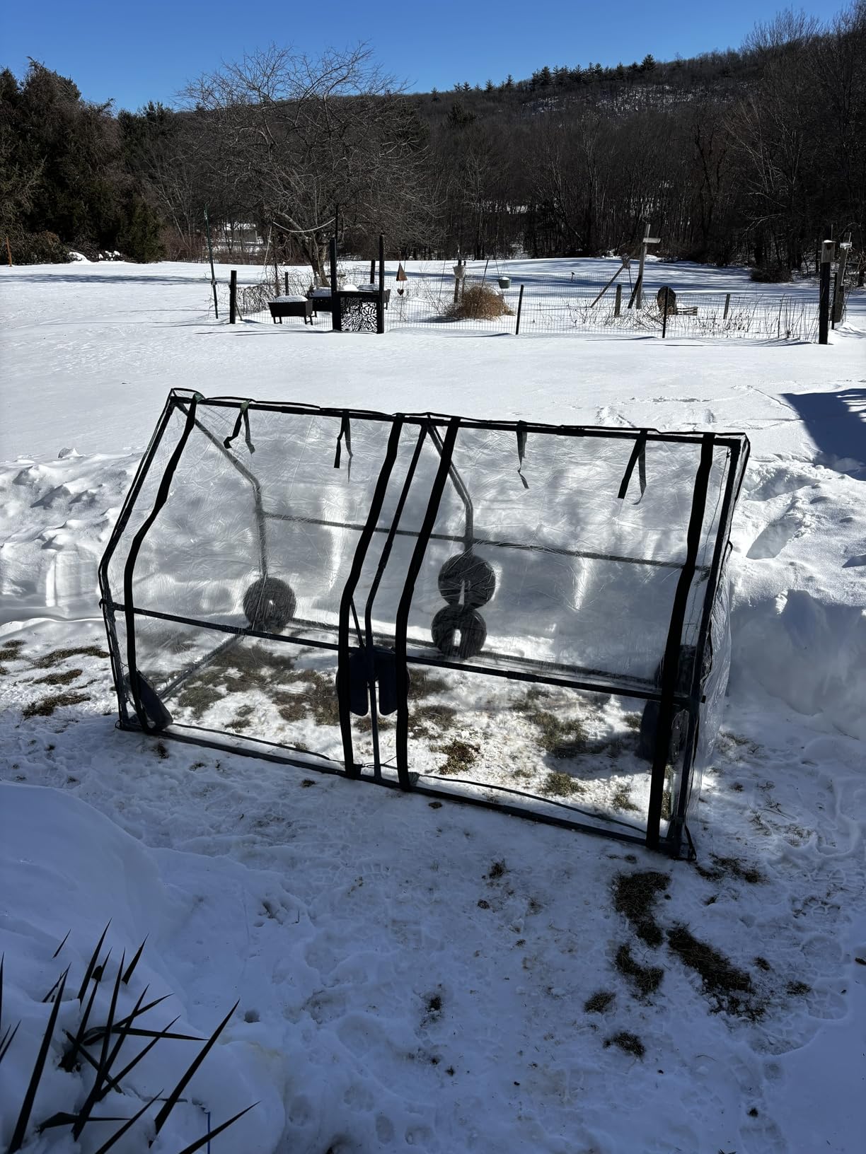Gardzen Mini Greenhouse with Waterproof Bottom 36.2