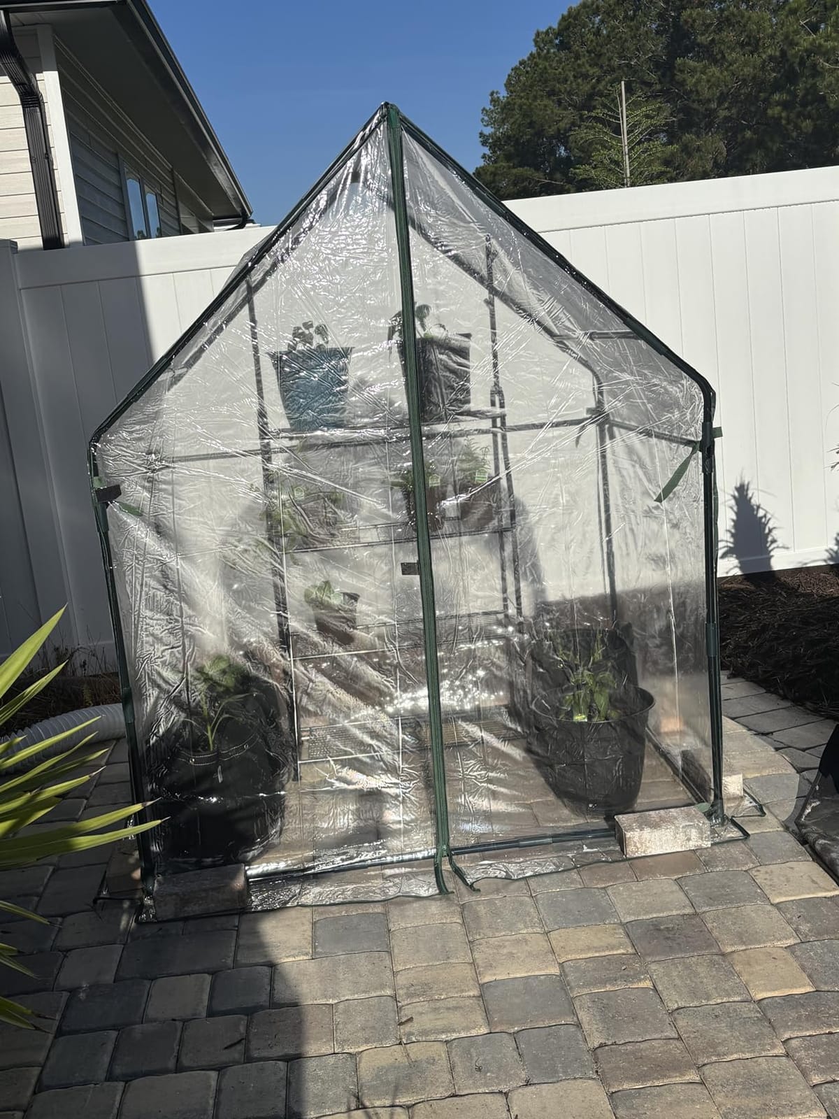 Gardzen Mini Greenhouse with Waterproof Bottom 36.2
