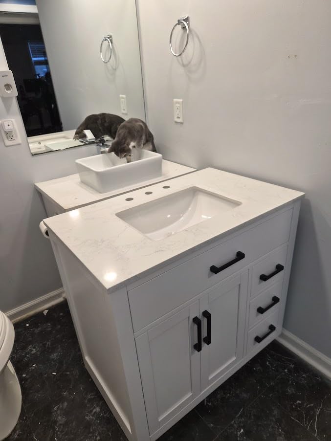 60-inch Dark Walnut Bathroom Vanity with 2 Sinks, Solid Wood, 0.79-inch Stone Countertop and Backsplash, 6 Drawers, 4 Soft Closing Doors customer photo 1