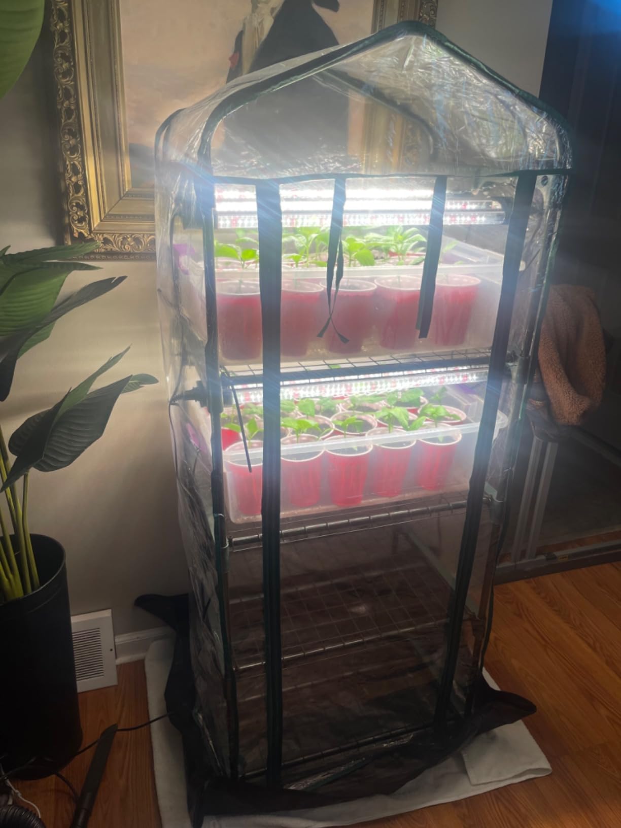Miracle-Gro 4-Tier Greenhouse, Removable Shelves, Clear, 23