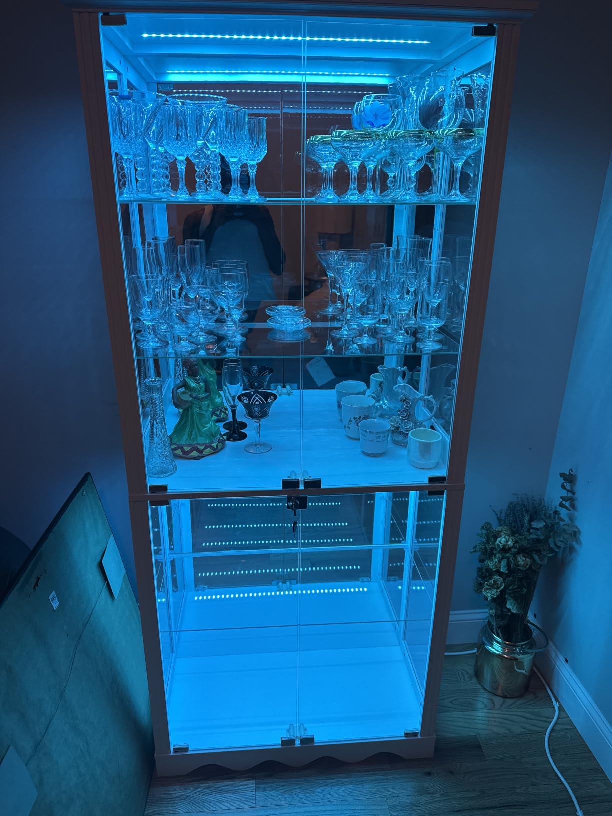 Dystler Display Cabinet with Glass Doors, RGB Lights for Collectibles customer photo 2