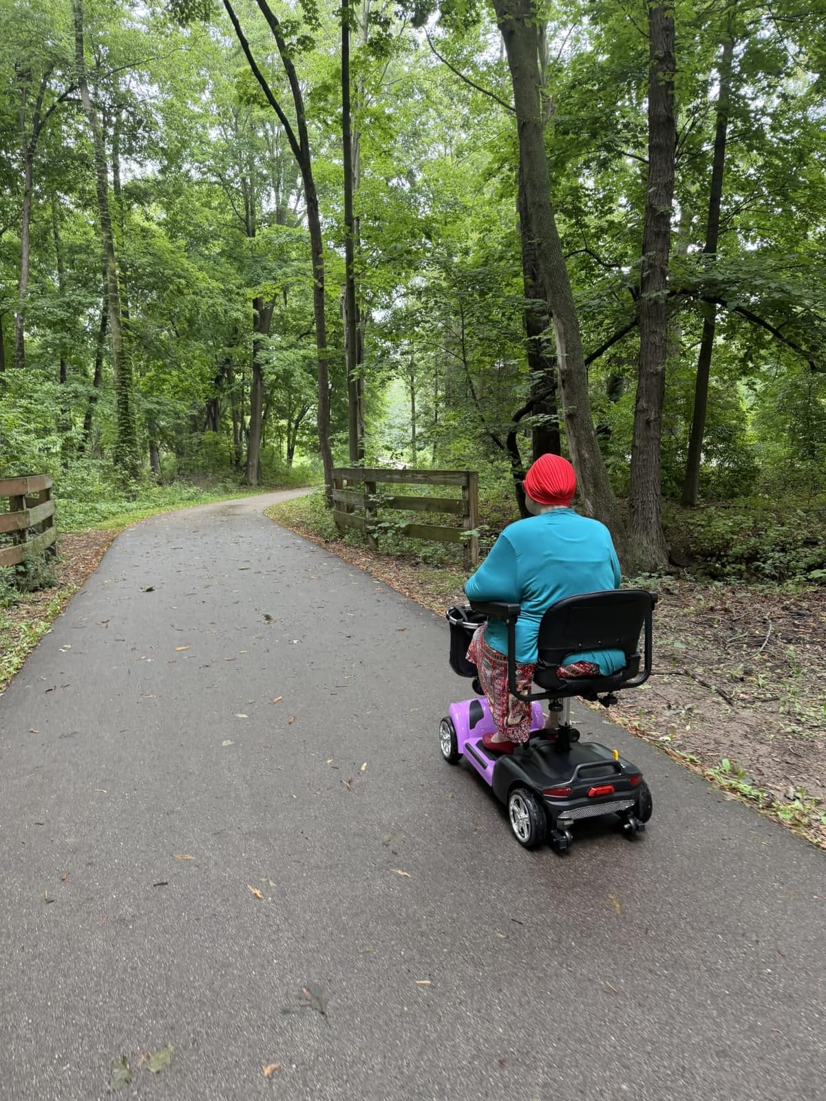 20Miles Mobility Scooter for Seniors/Adults,All Terrain Mobility Scooter customer photo 2