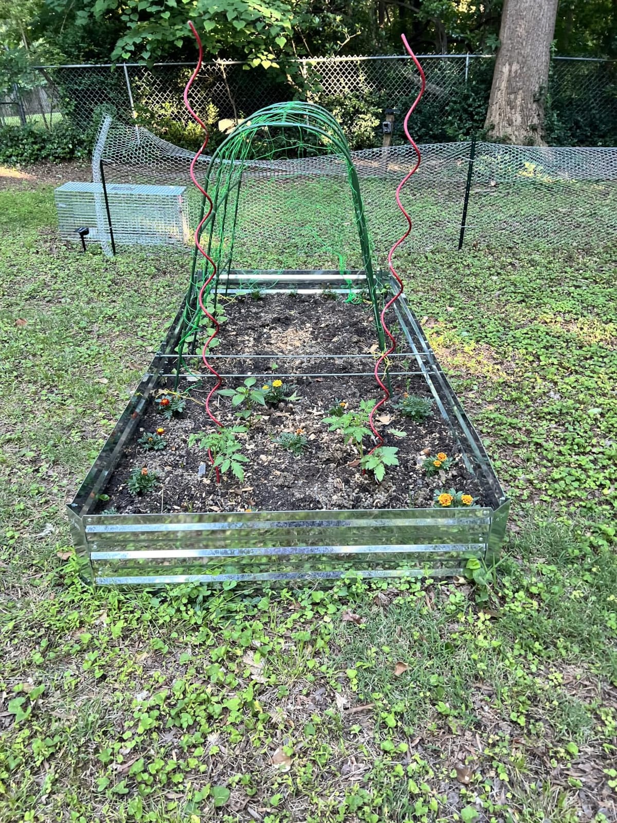 Galvanized Raised Garden Bed 8x4x1ft 3-Pack customer photo 1
