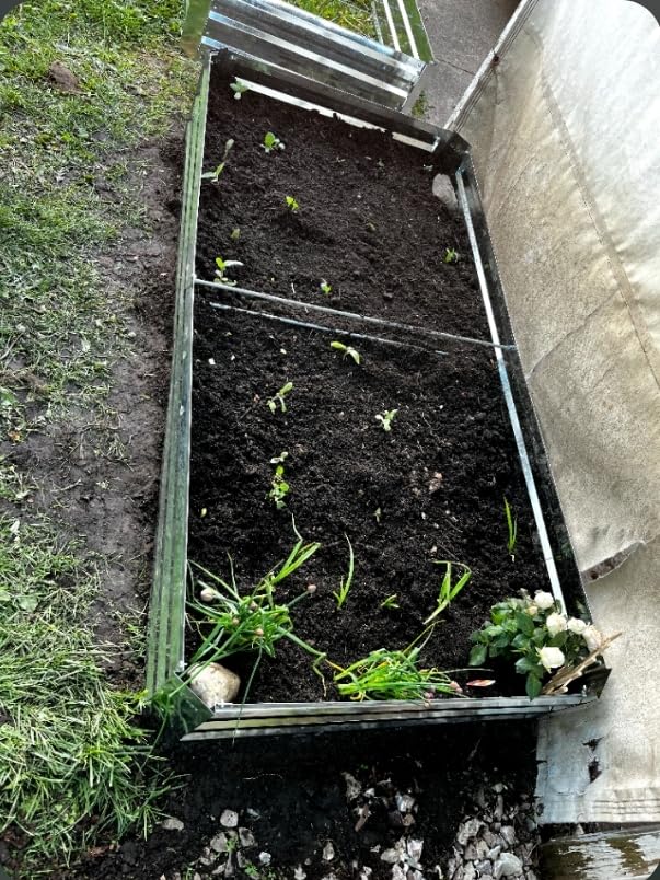 Galvanized Raised Garden Bed 8x4x1ft 3-Pack customer photo 2