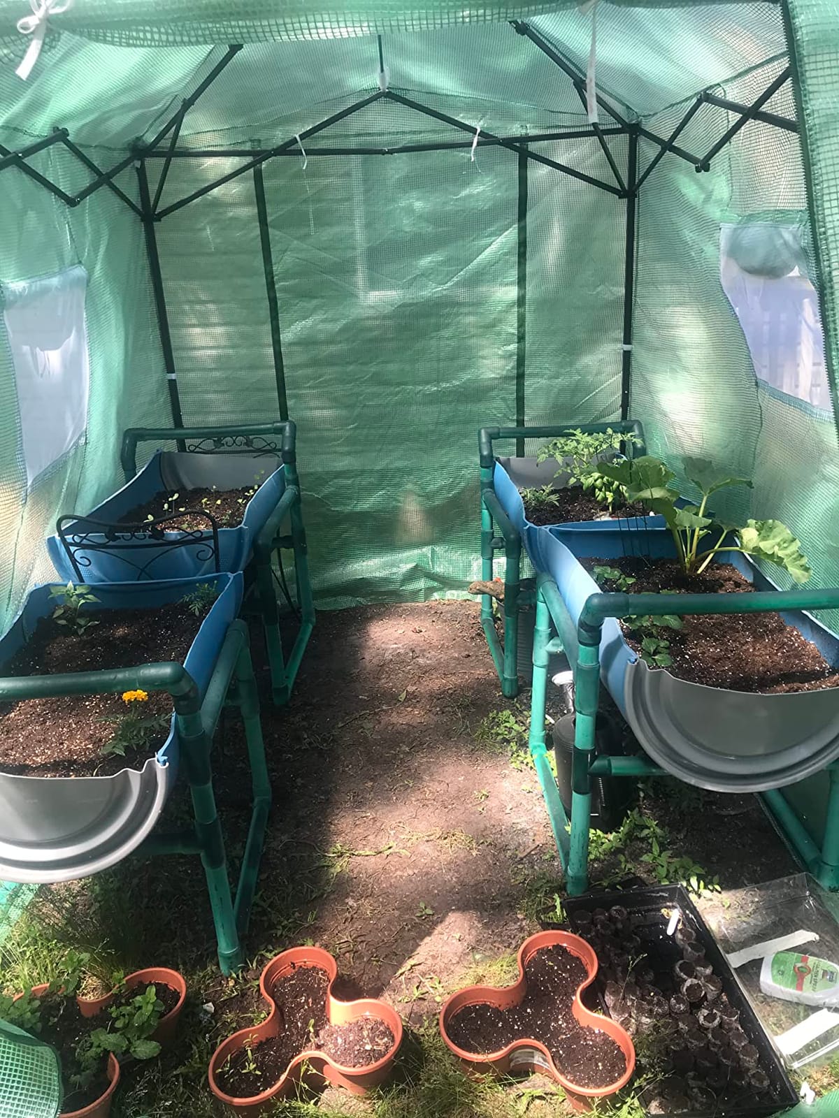 CROWN SHADES 12X8 Pop Up Outdoor Walk-in Portable Greenhouse,Green customer photo 1