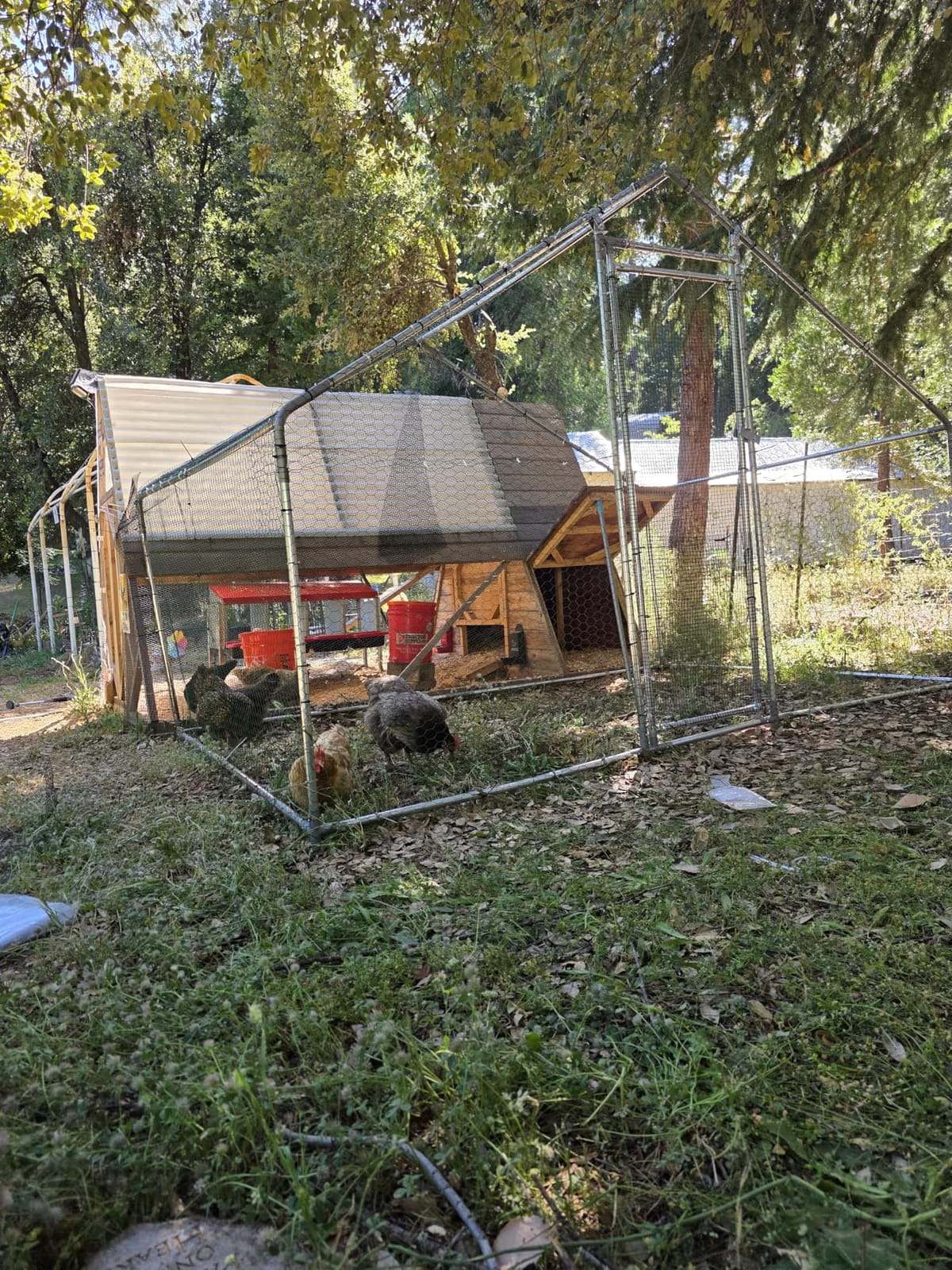 VEVOR Large Metal Chicken Coop,9.8 x 3.3 x 6.6 ft, Walk-in Chicken Run House with Waterproof Cover & Sturdy Frame, Spire Roof Poultry Cage Duck Pen for Rabbit Hen Goose Outdoor Backyard Farm Use customer photo 1