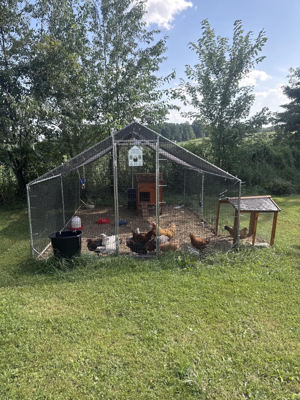 CAMMOO Walk in Chicken Coop, 9.8x6.6x6.6ft Chicken Run for Yard with Cover customer photo 2