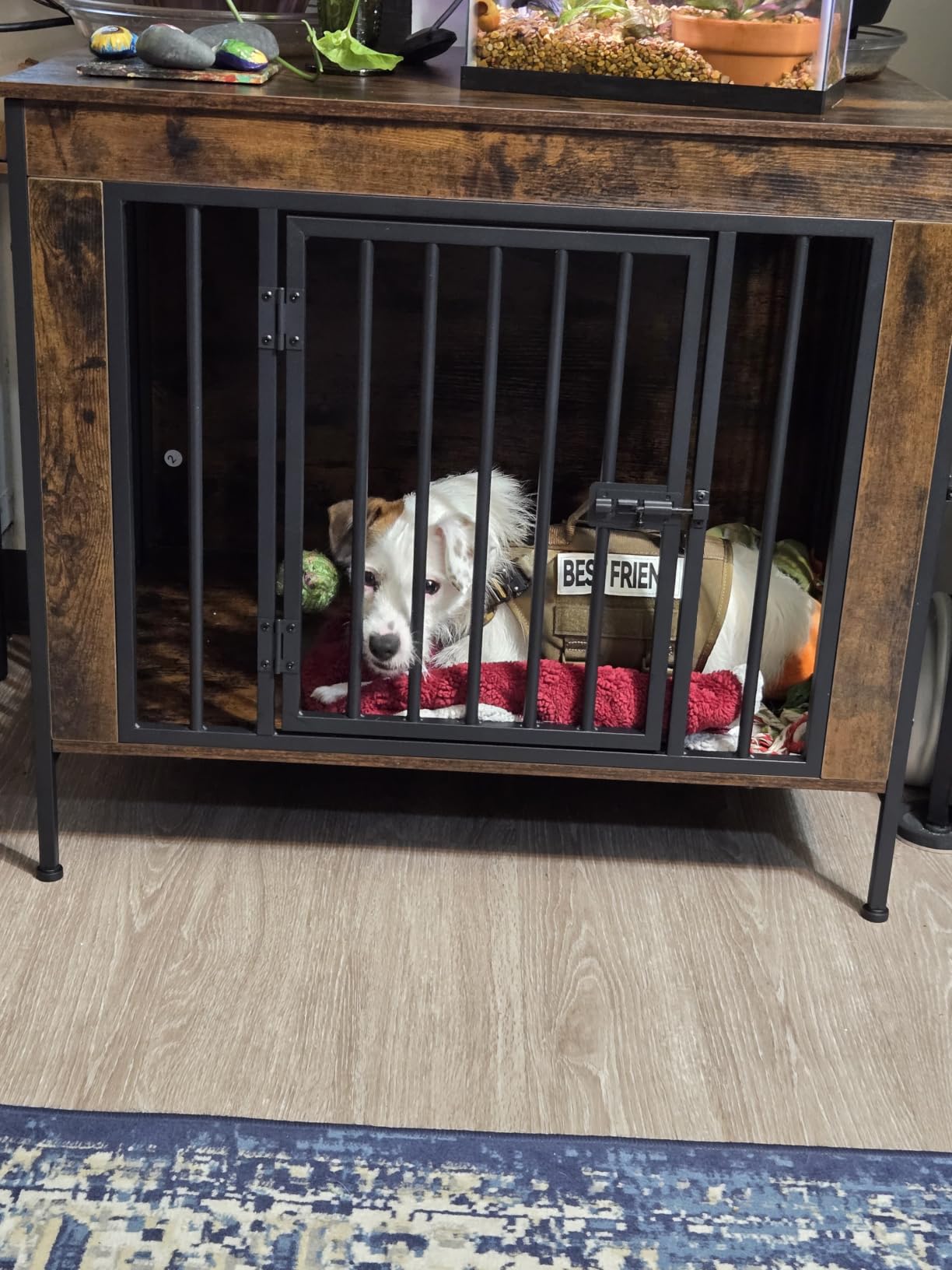 Easycom Foldable Dog Crate Furniture for Large Dogs 35-60 lb, Rustic Brown | Dog Cage with Adjustable Bowls and Name Tag, No Assembly Decorative Wooden Dog Kennel Indoor, End Table customer photo 1